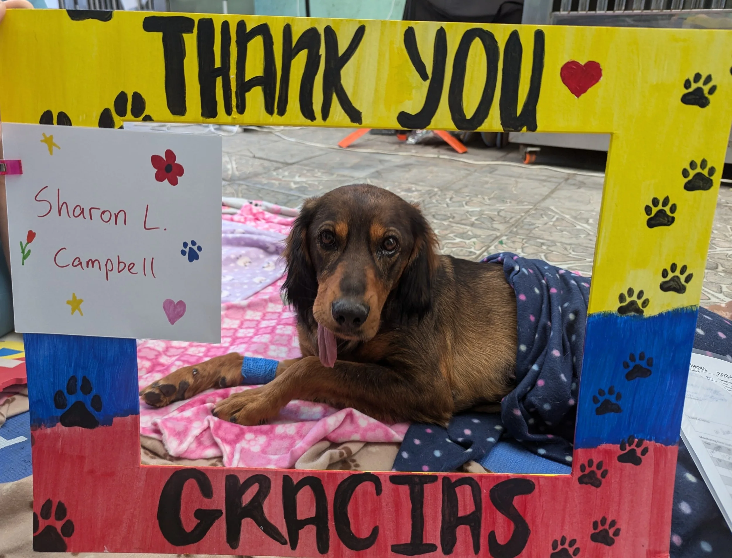 Sharon_C-Gorda (52).jpg