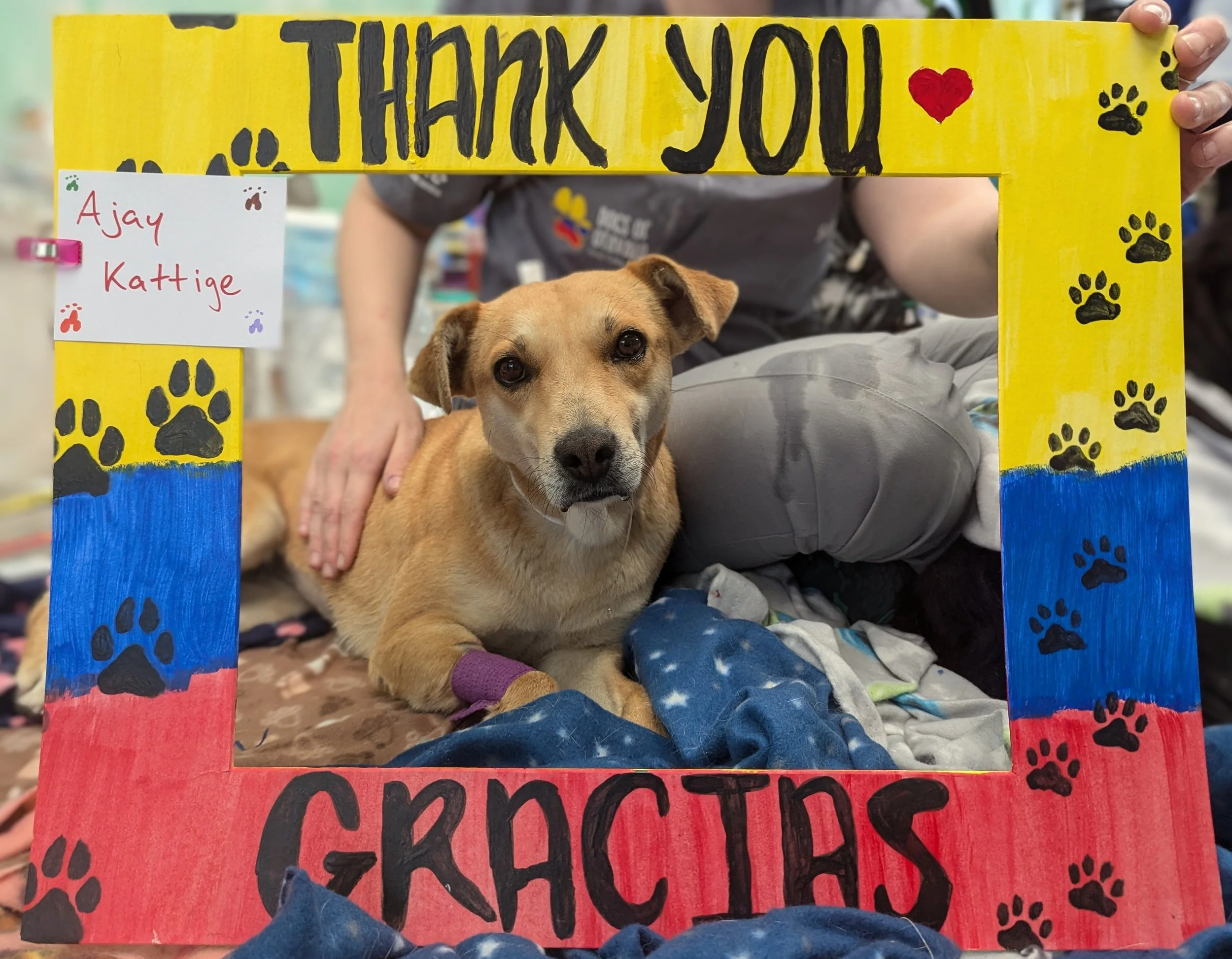 Ajay_K-Josefa (83).jpg