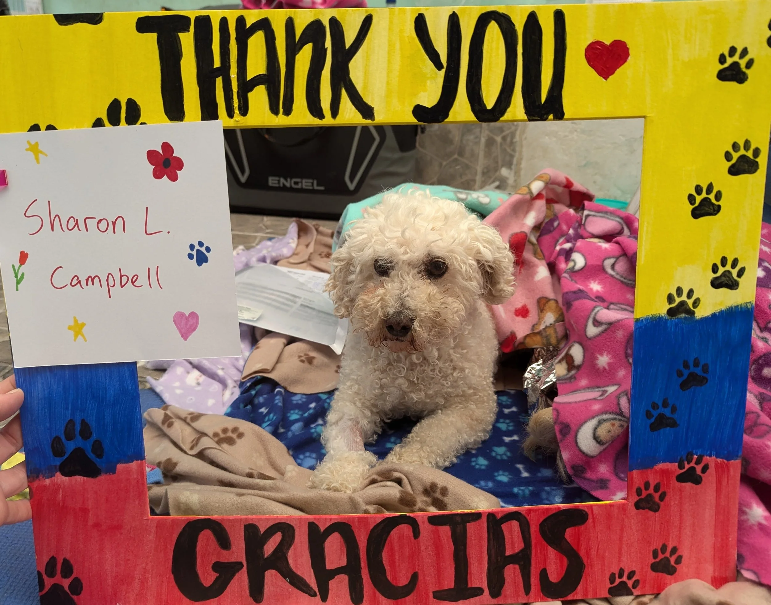 Sharon_C-Fresa (9).jpg