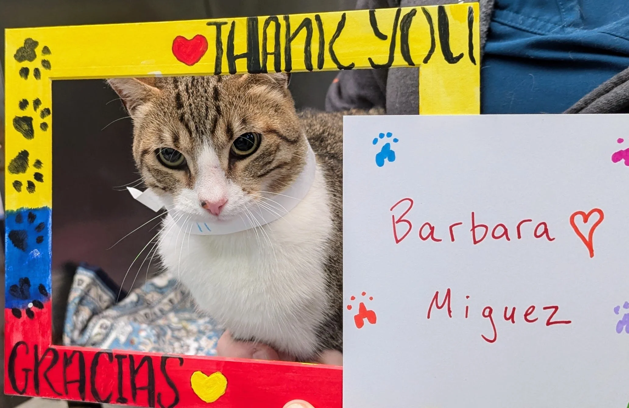 Barbara_M-Tigre (11).jpg