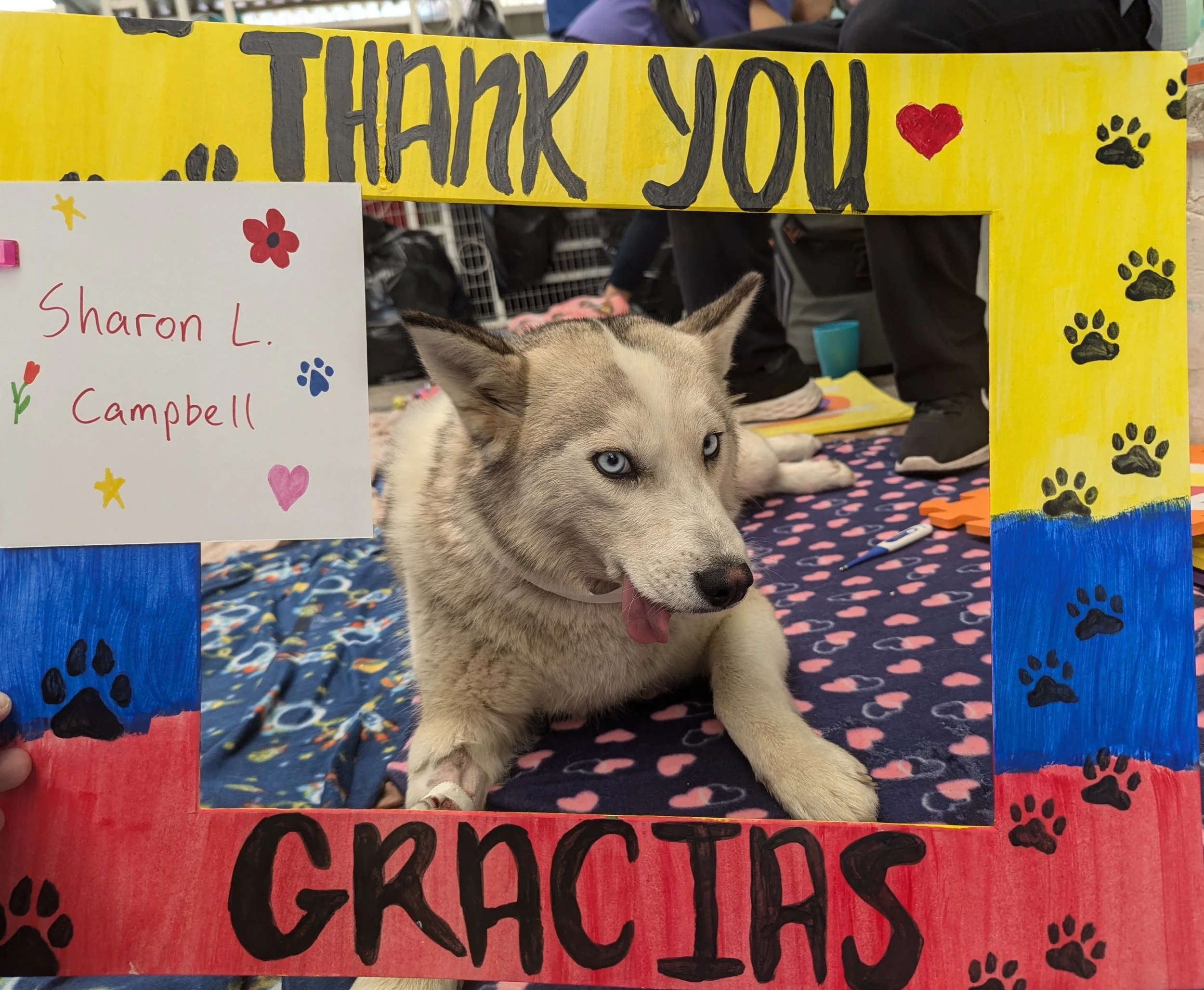 Sharon_C-Luna (7).jpg