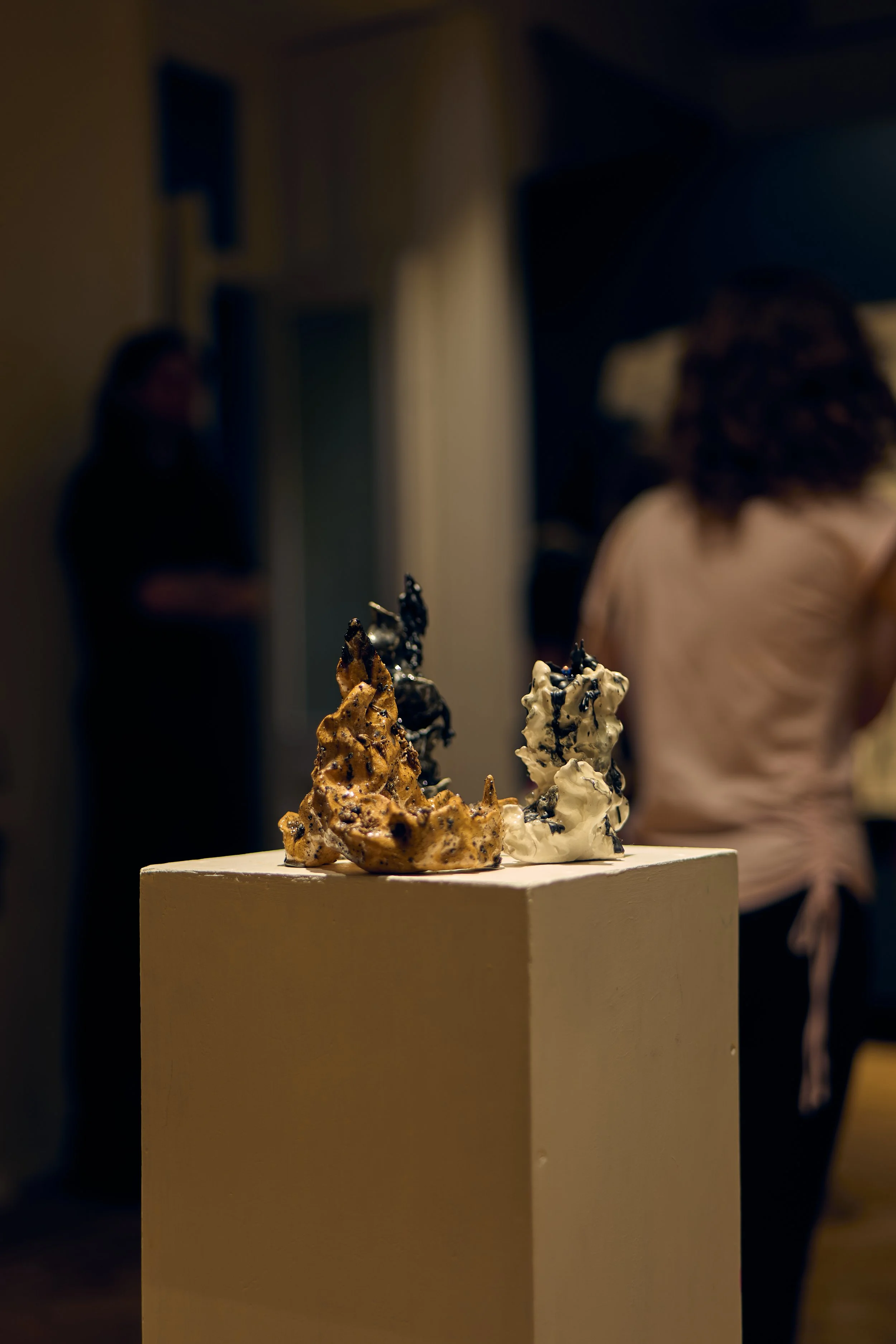 fluxus_130625_14.jpg
