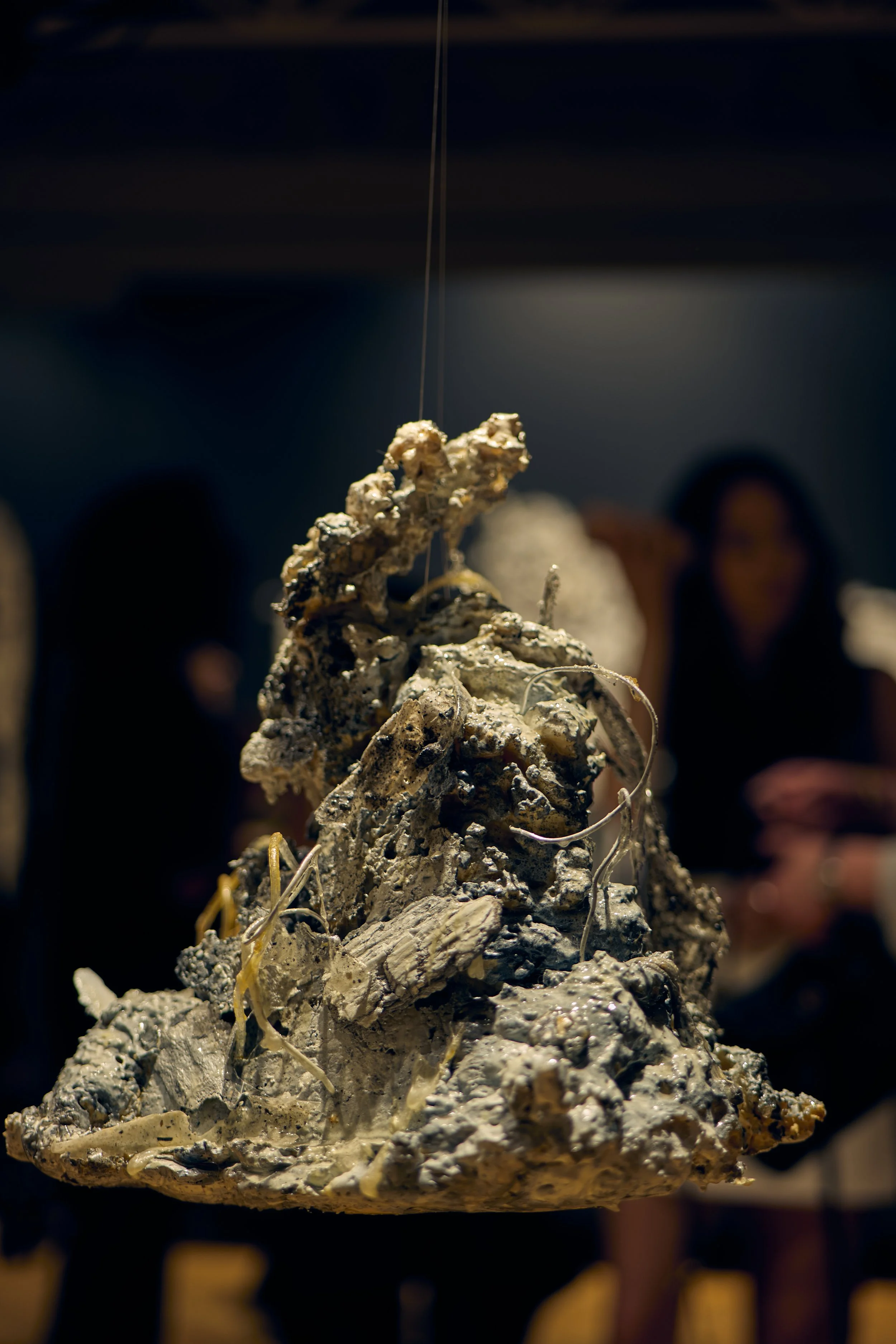 fluxus_130625_13.jpg