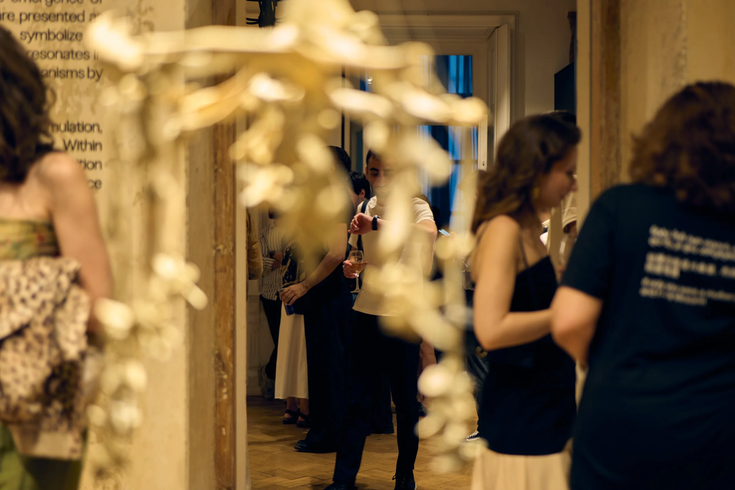 fluxus_130625_1.jpg