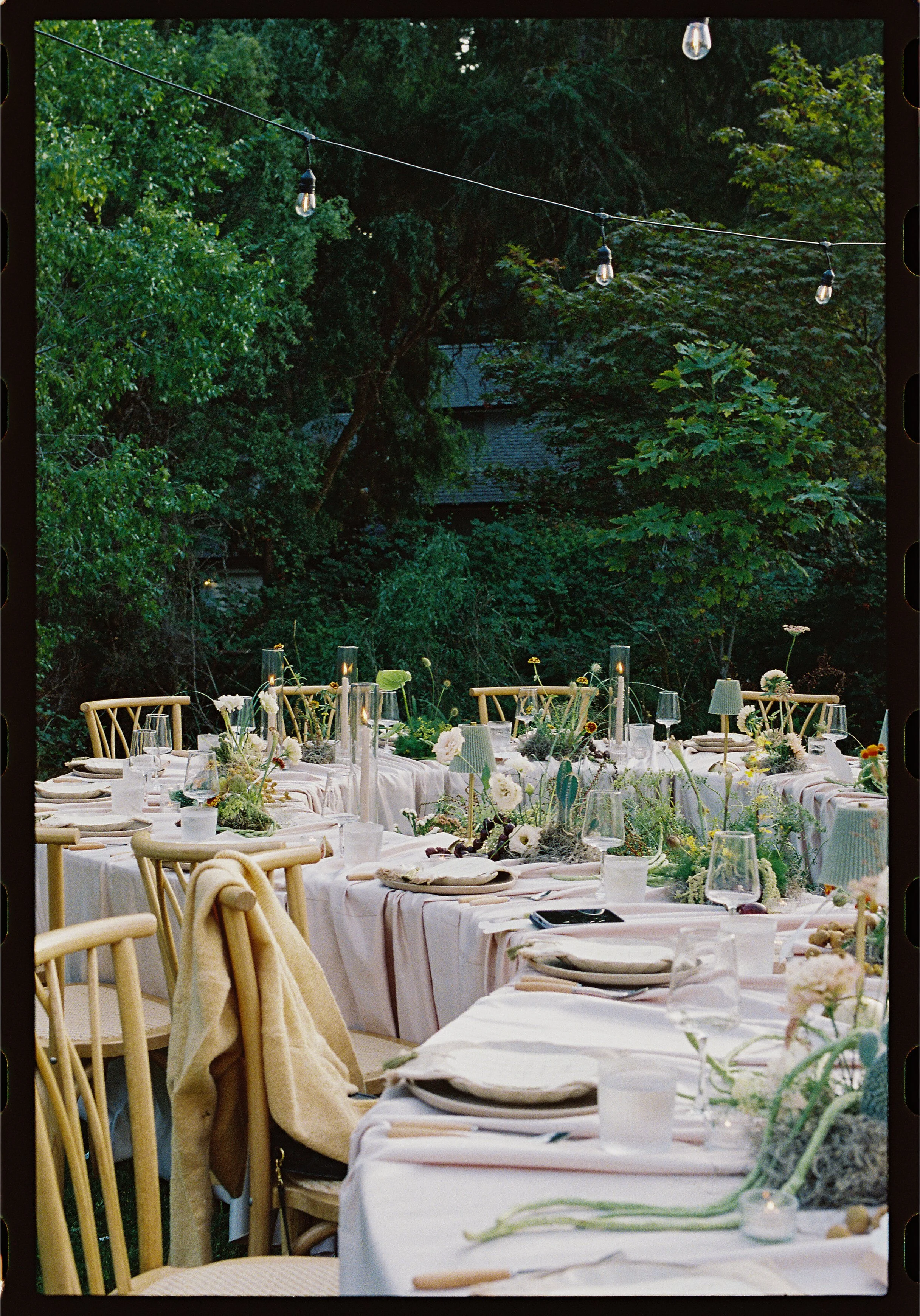 45- 99913108-114614.jpg