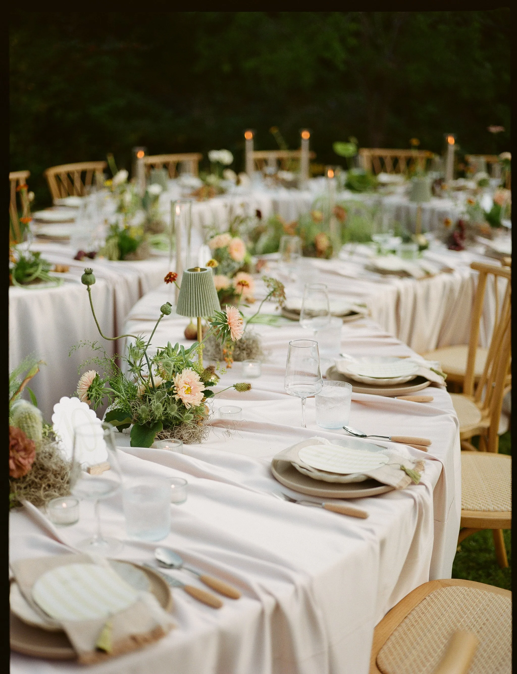 50- 99913108-114666.jpg