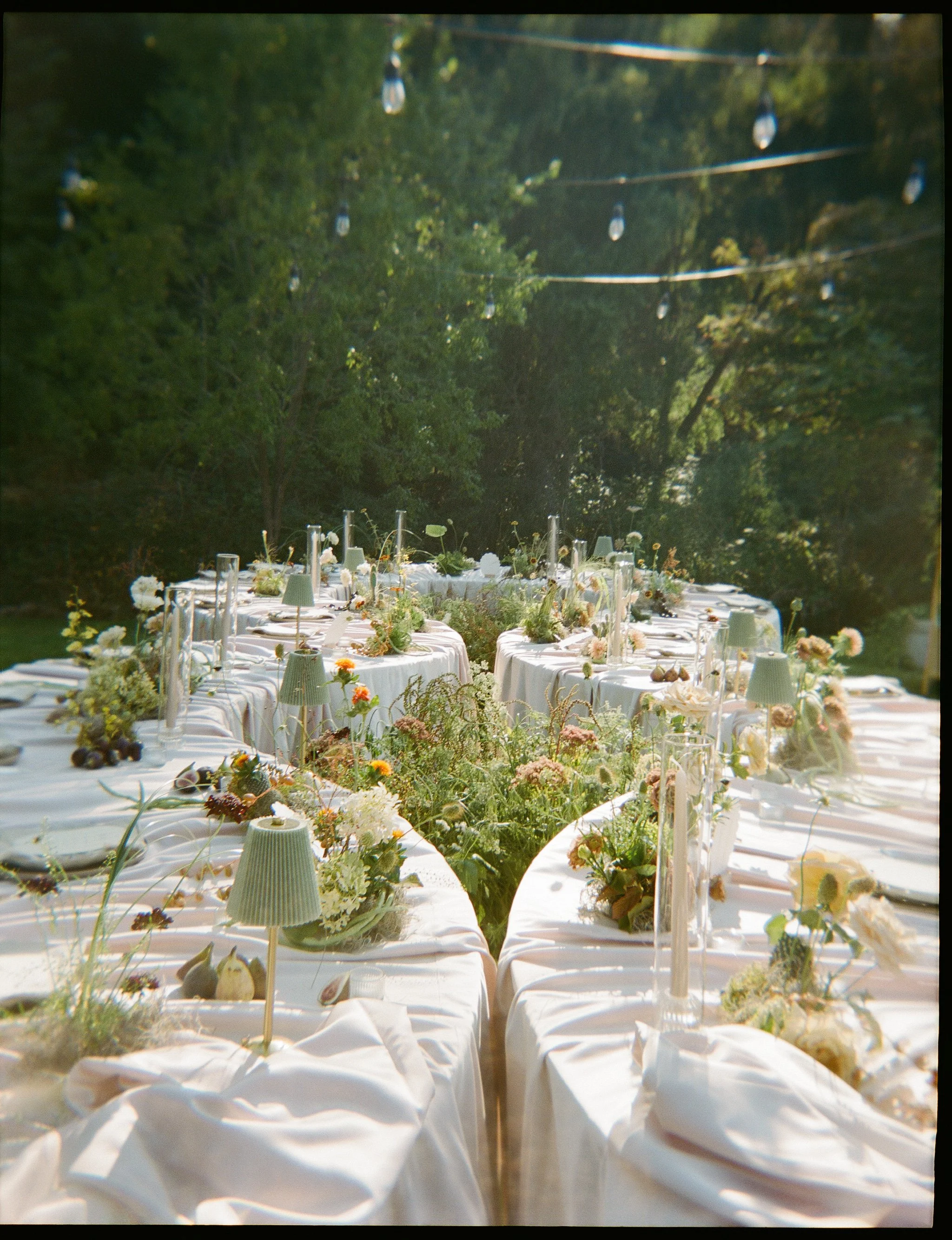 48- 99913108-114730.jpg