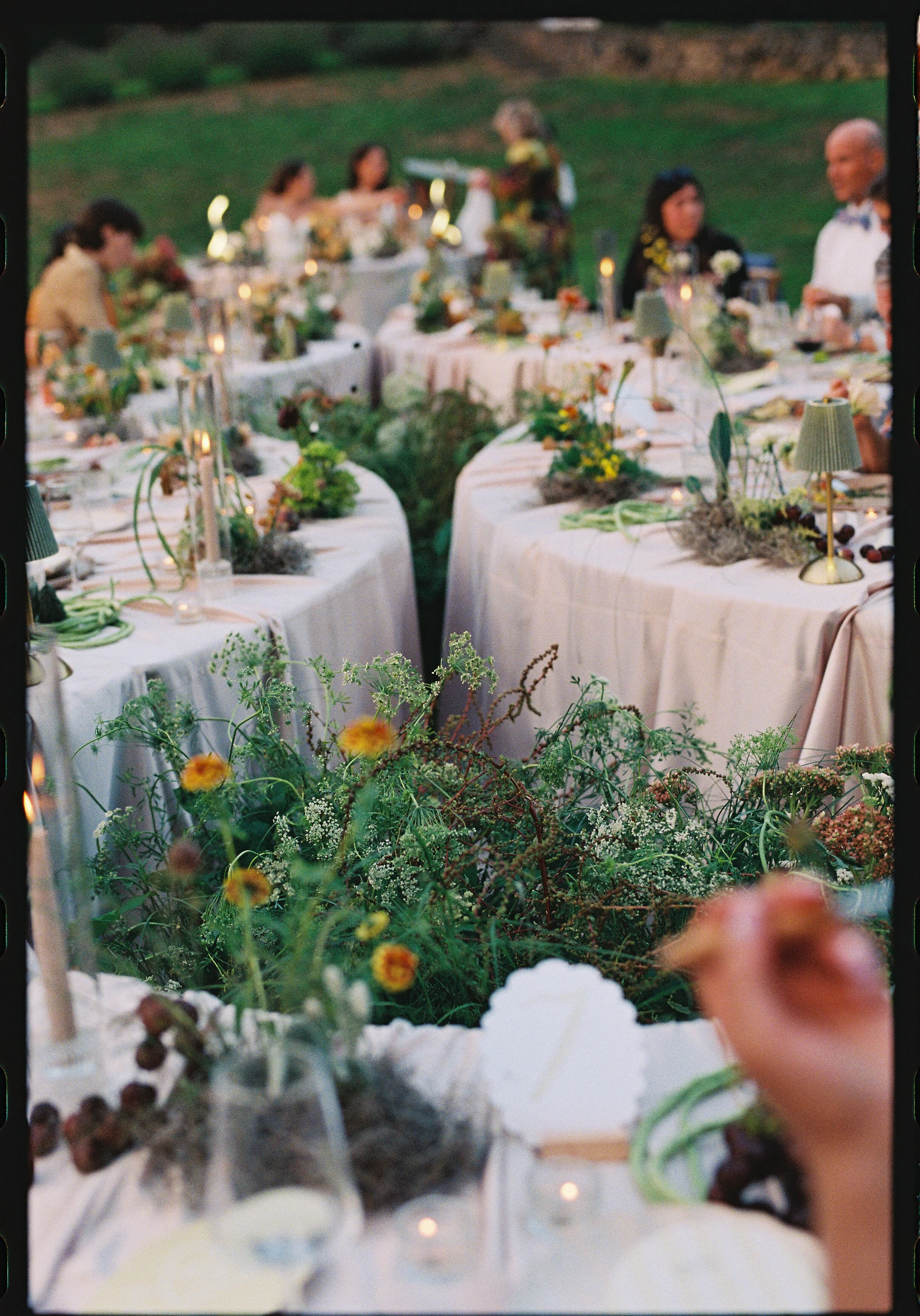 96- 99913108-114287.jpg