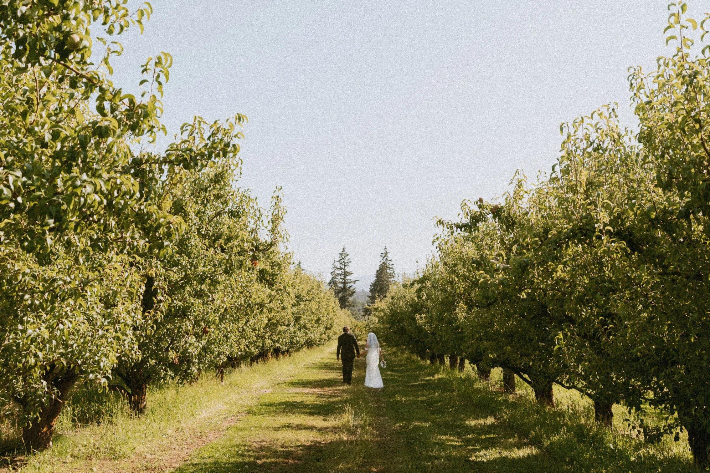 Emily-Noelle-Photo-Wedding-Photos-Hood-River-Oregon-00474.jpg