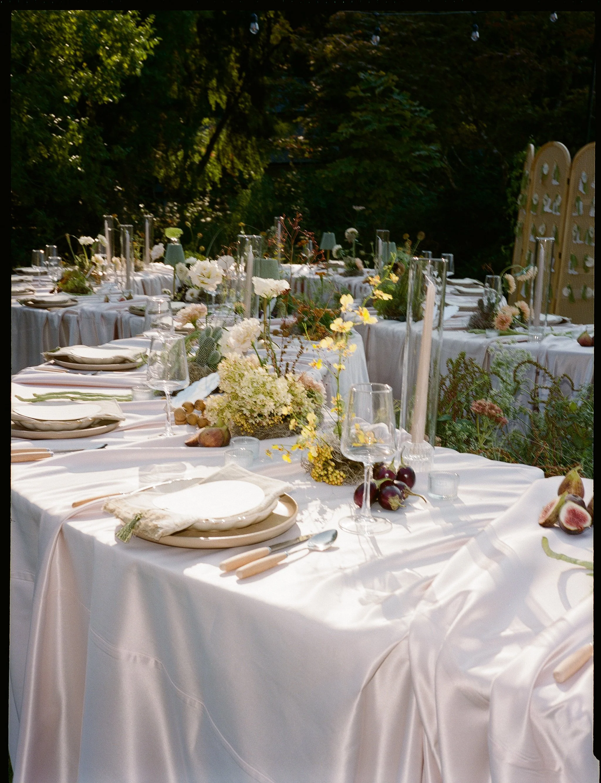 51- 99913108-114753.jpg