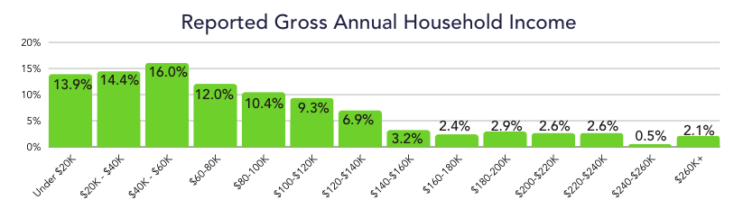 A bar chart of the reported annual gross household income of SLAY respondents.