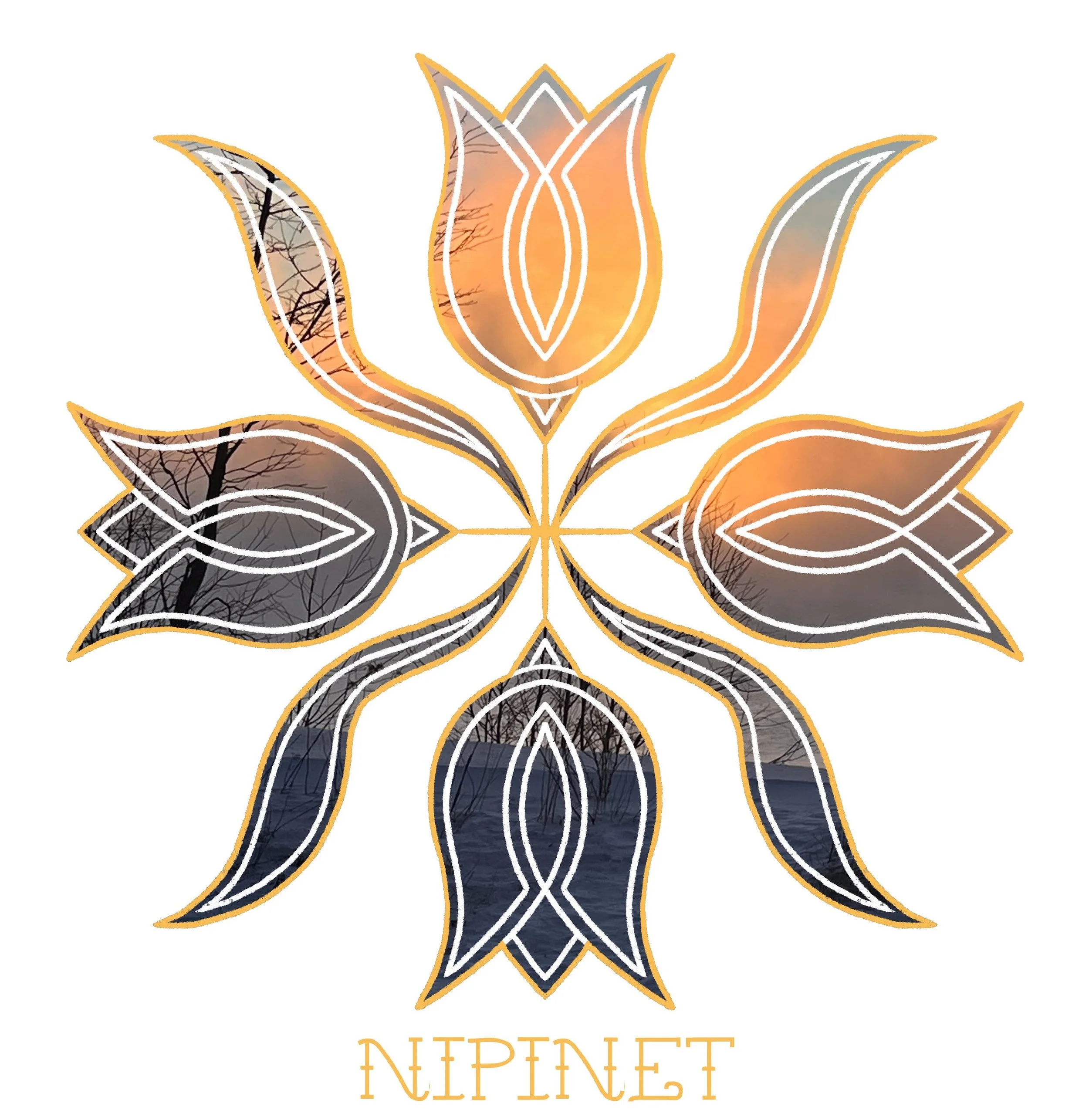 Copy of Nipient Logo.jpg