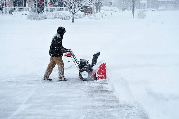 istockphoto-182401031-612x612.jpg