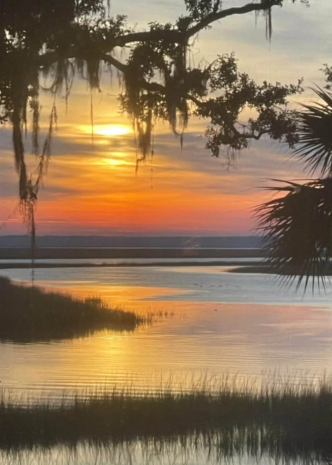 This picture was taken at Colonels Island, GA.