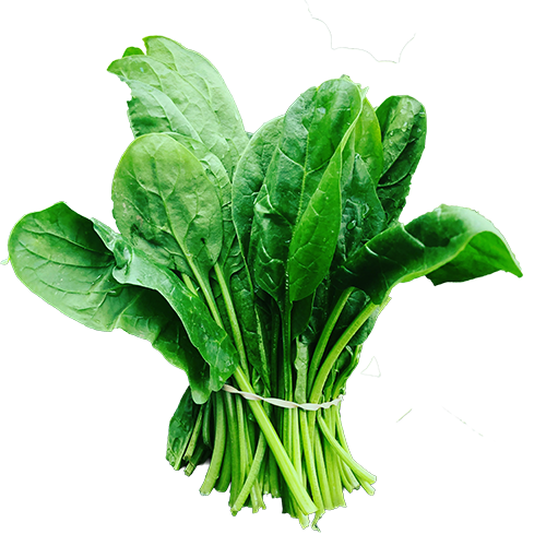 Espinaca.png