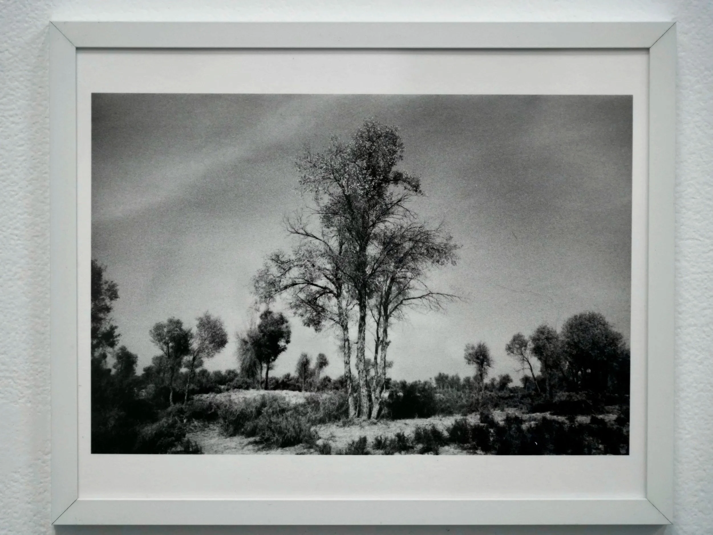 8x10 Injek on Baryta Paper