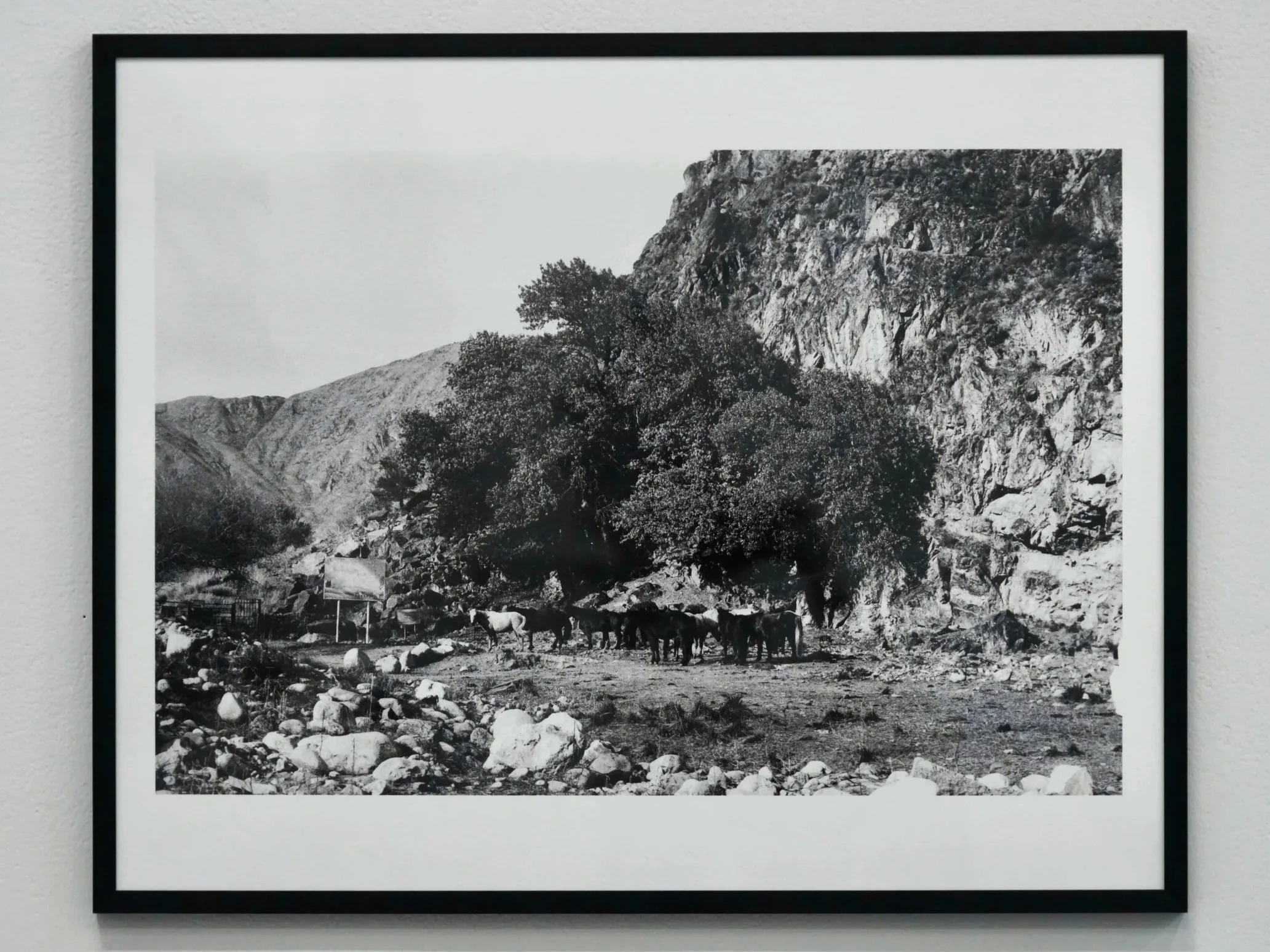 Exhibition-7.jpg