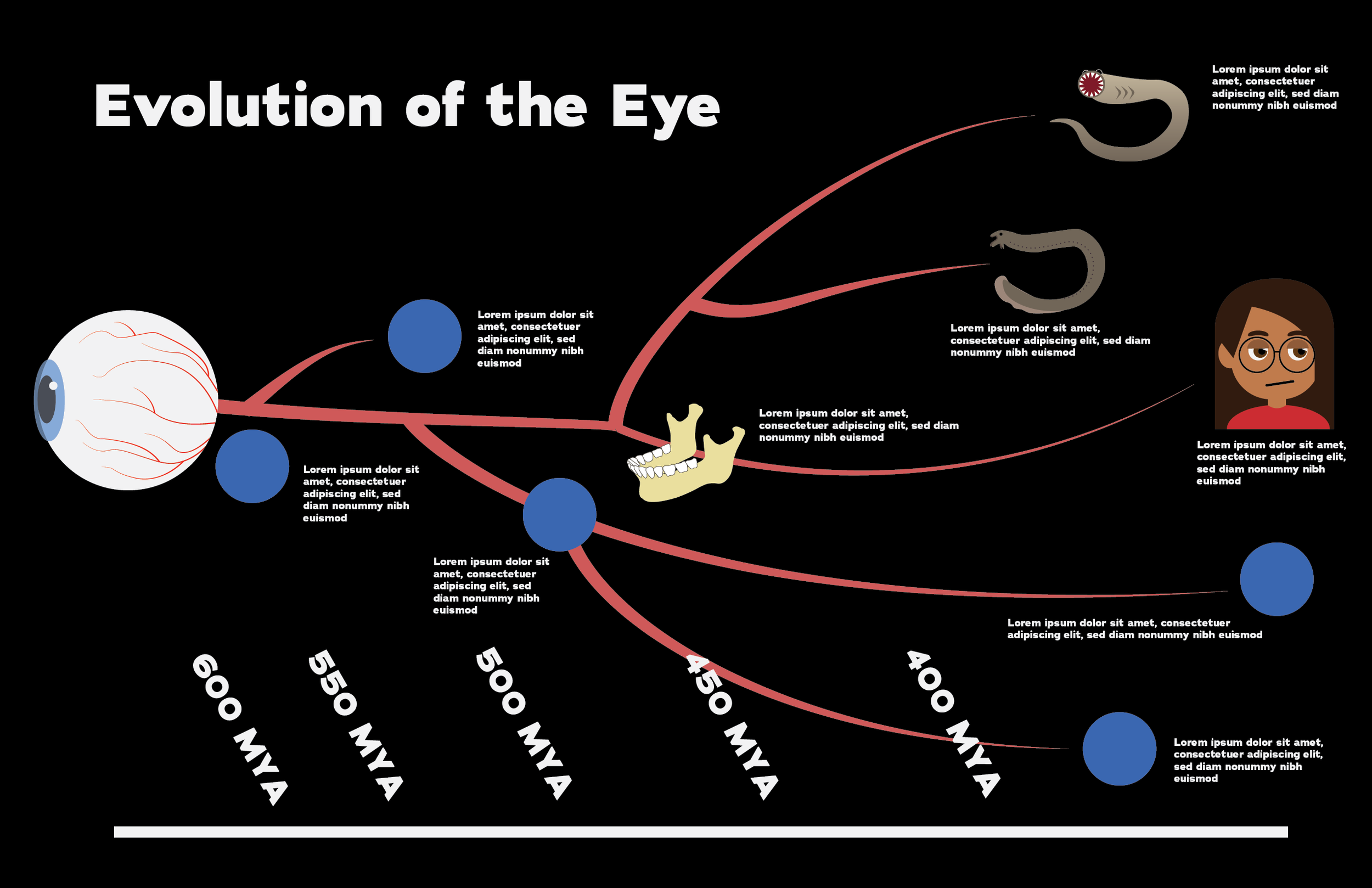 eye_infographic [Recovered]-01.png