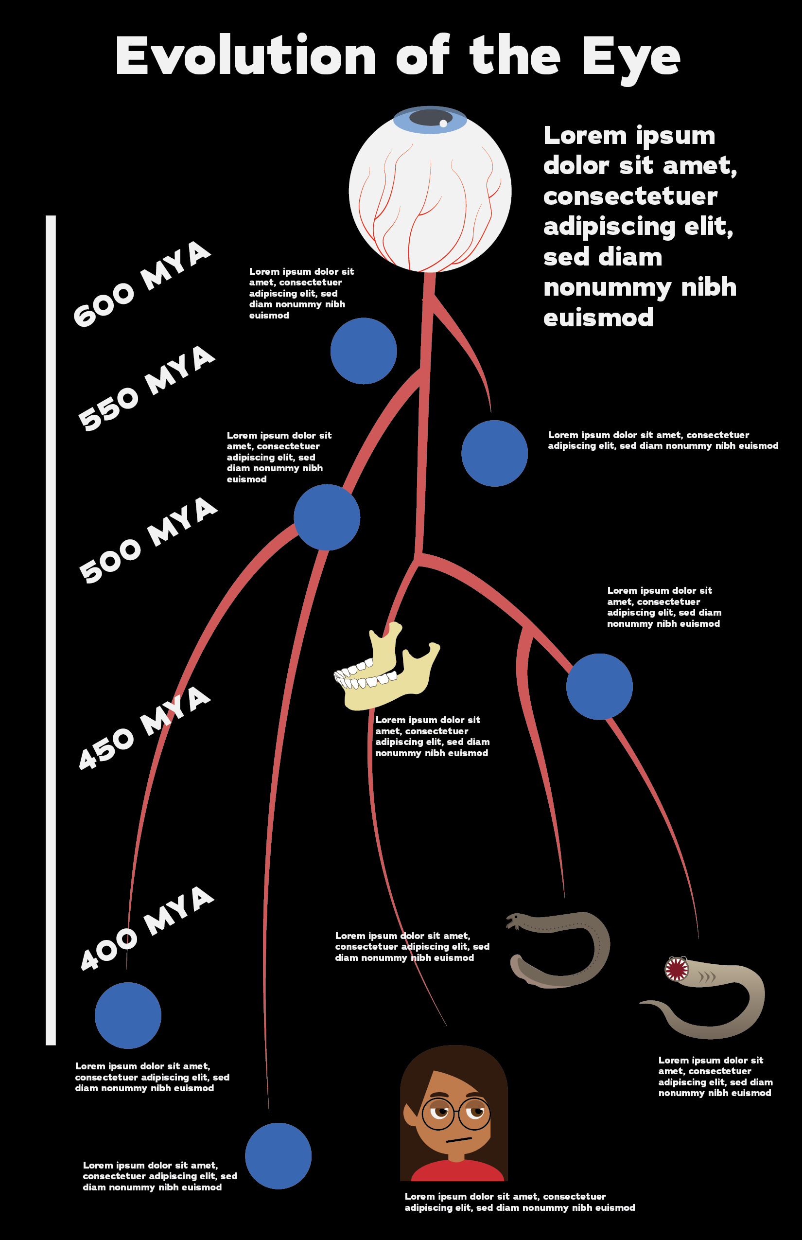 eye_infographic [Recovered]-02.png