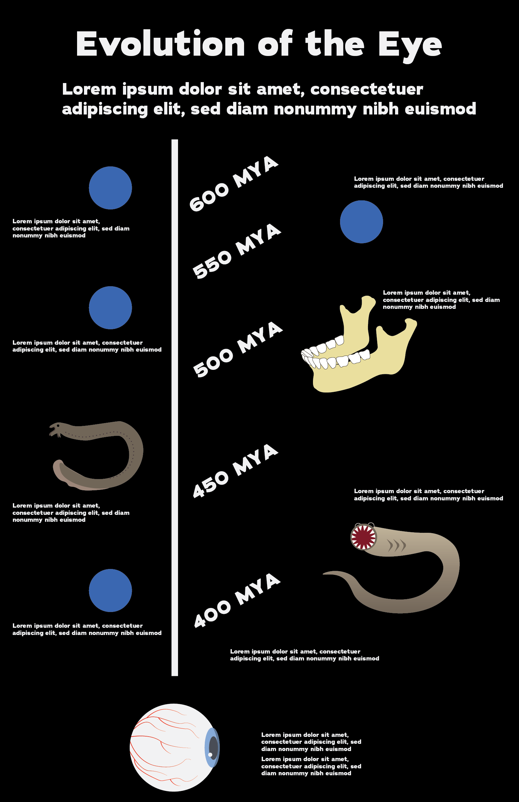 eye_infographic [Recovered]-03.png