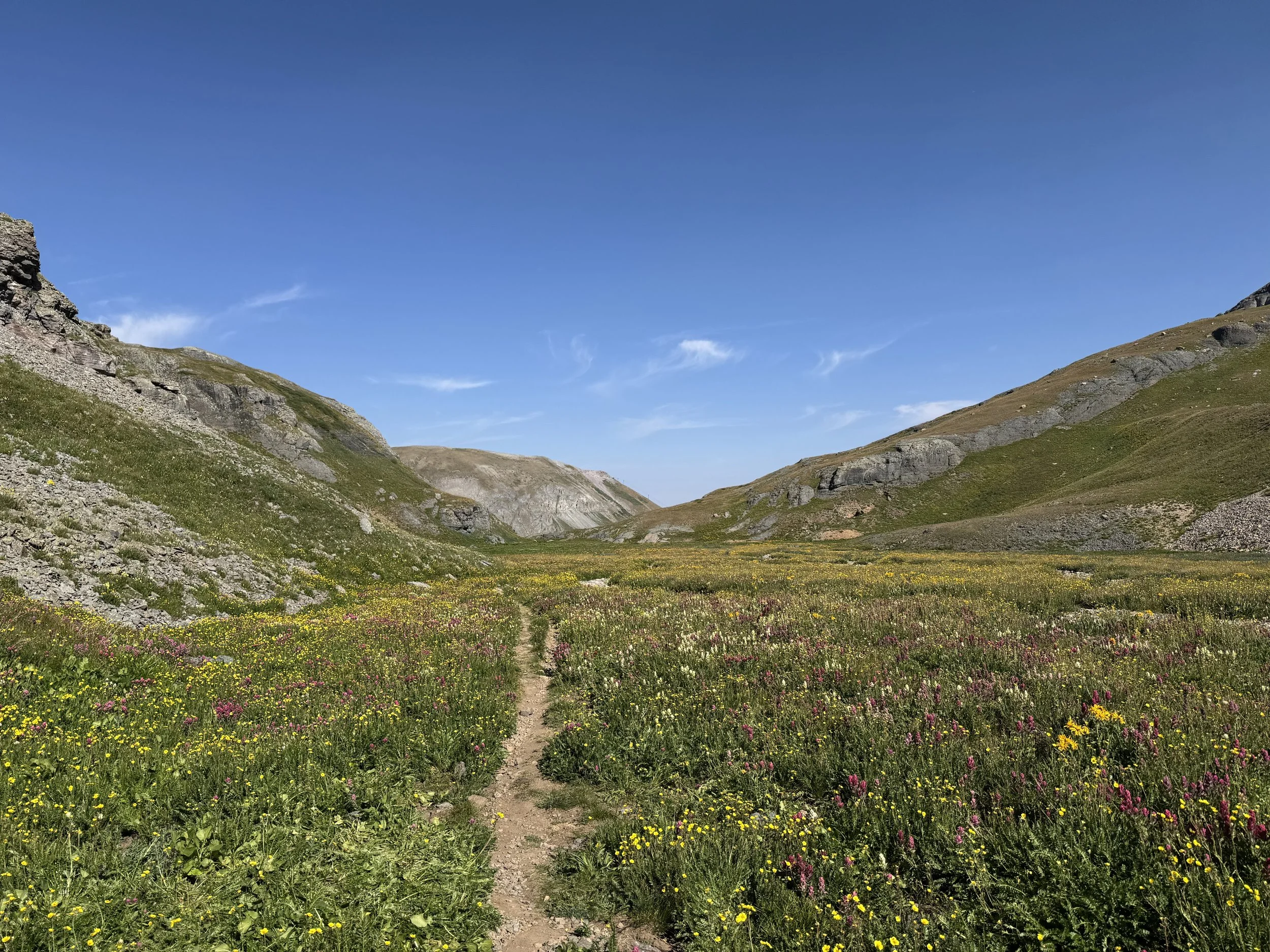 A photo from Telluride, CO: dirt trail running through a green field filled with colorful wildflowers, surrounded by mountains under a clear blue sky.