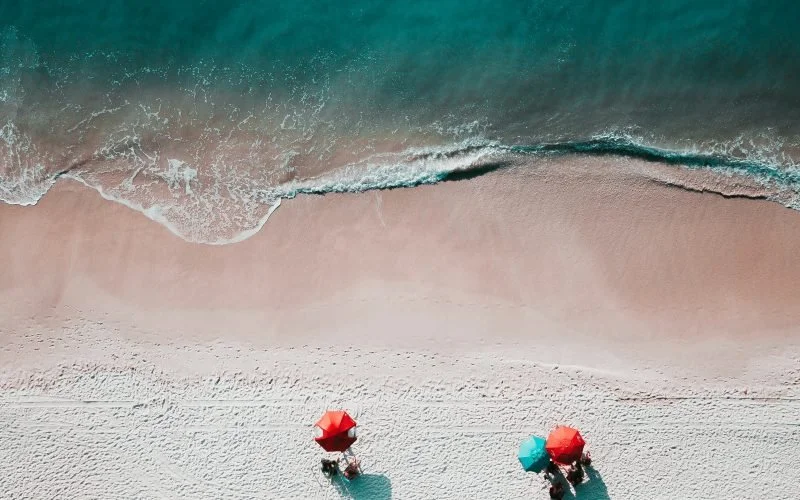 The Hive Minds Checklist For Going on Holiday