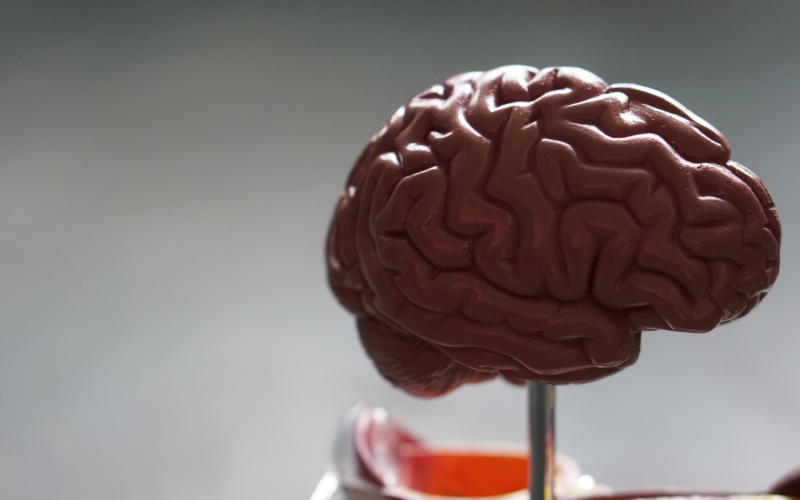 The Science of ‘Practice Makes Perfect’