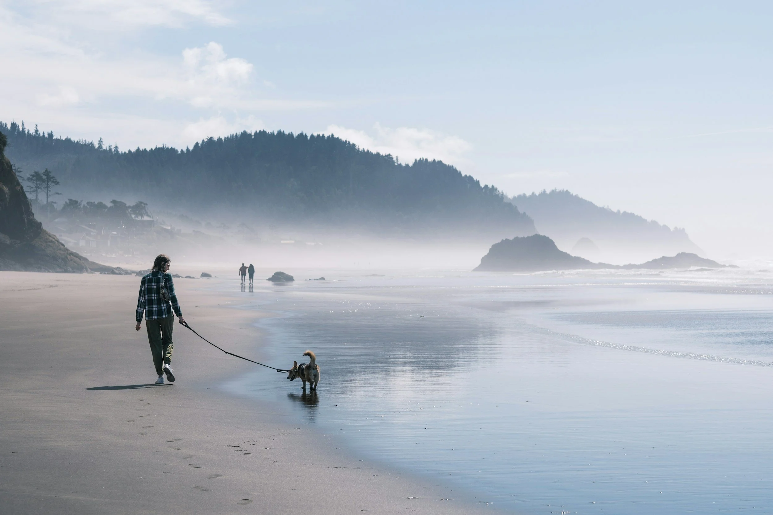 A person walking a dog along a foggy beach with others in the distance, surrounded by cliffs and trees.
