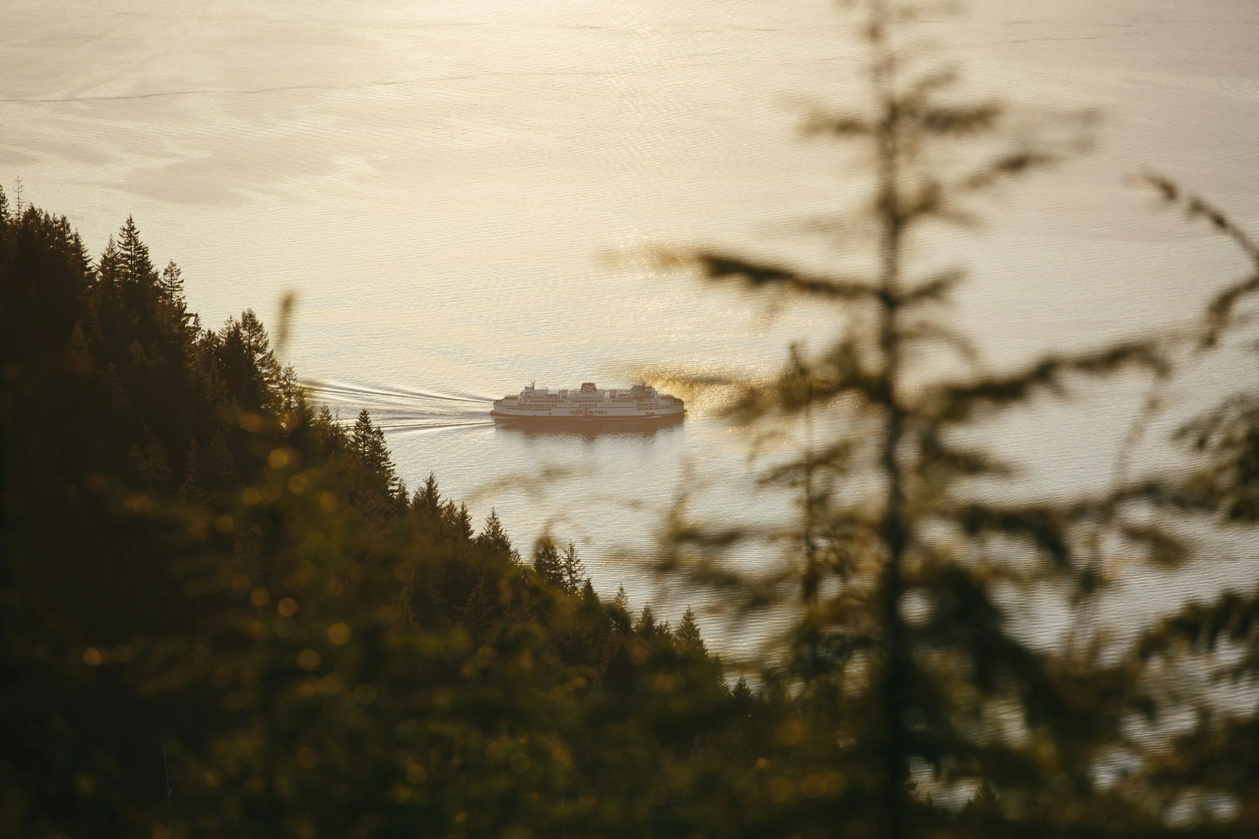 A ferry boat is sailing across a body of water, viewed through trees and foliage in the foreground during sunset.