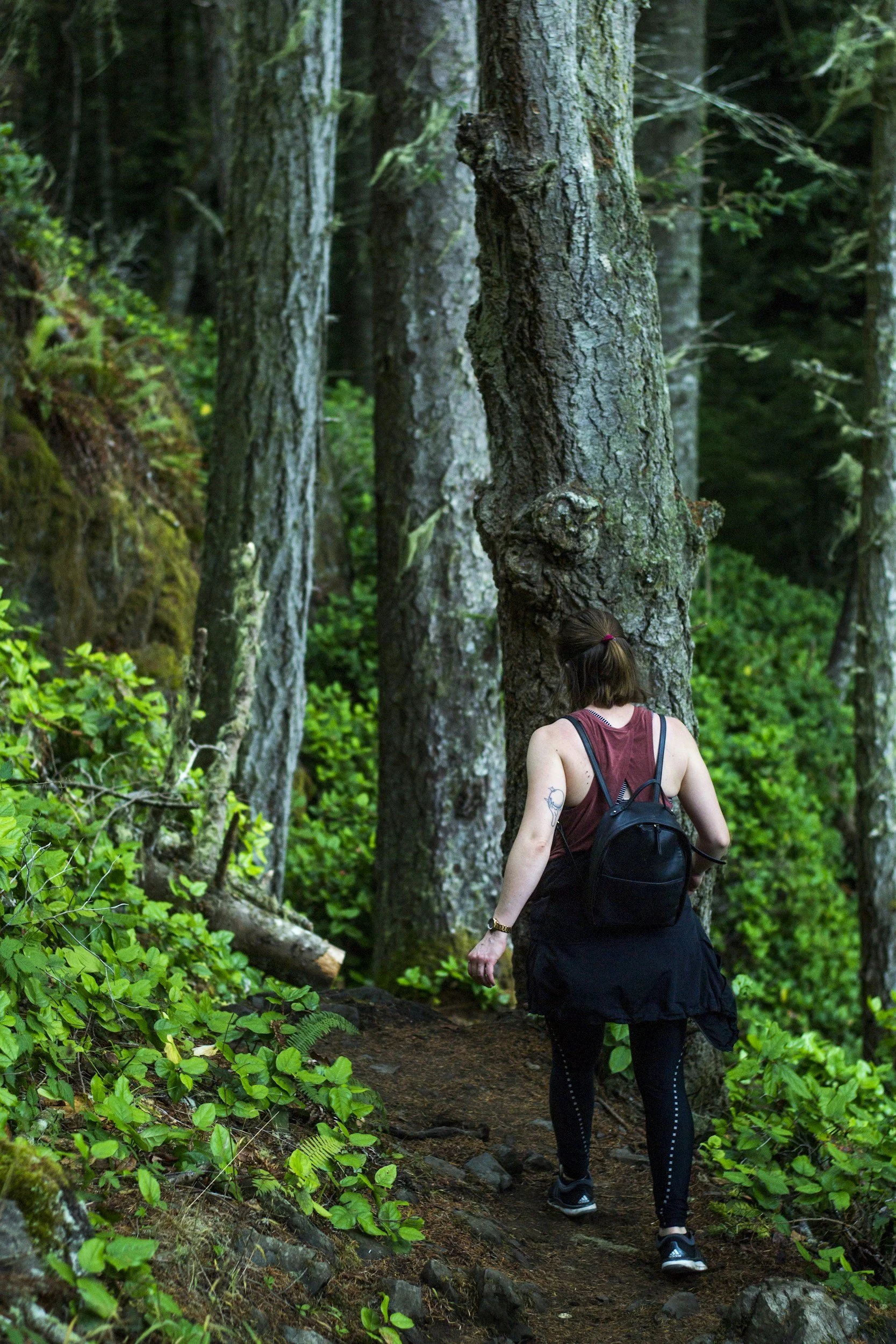 A person with a backpack hiking on a trail in a lush, green forest.
