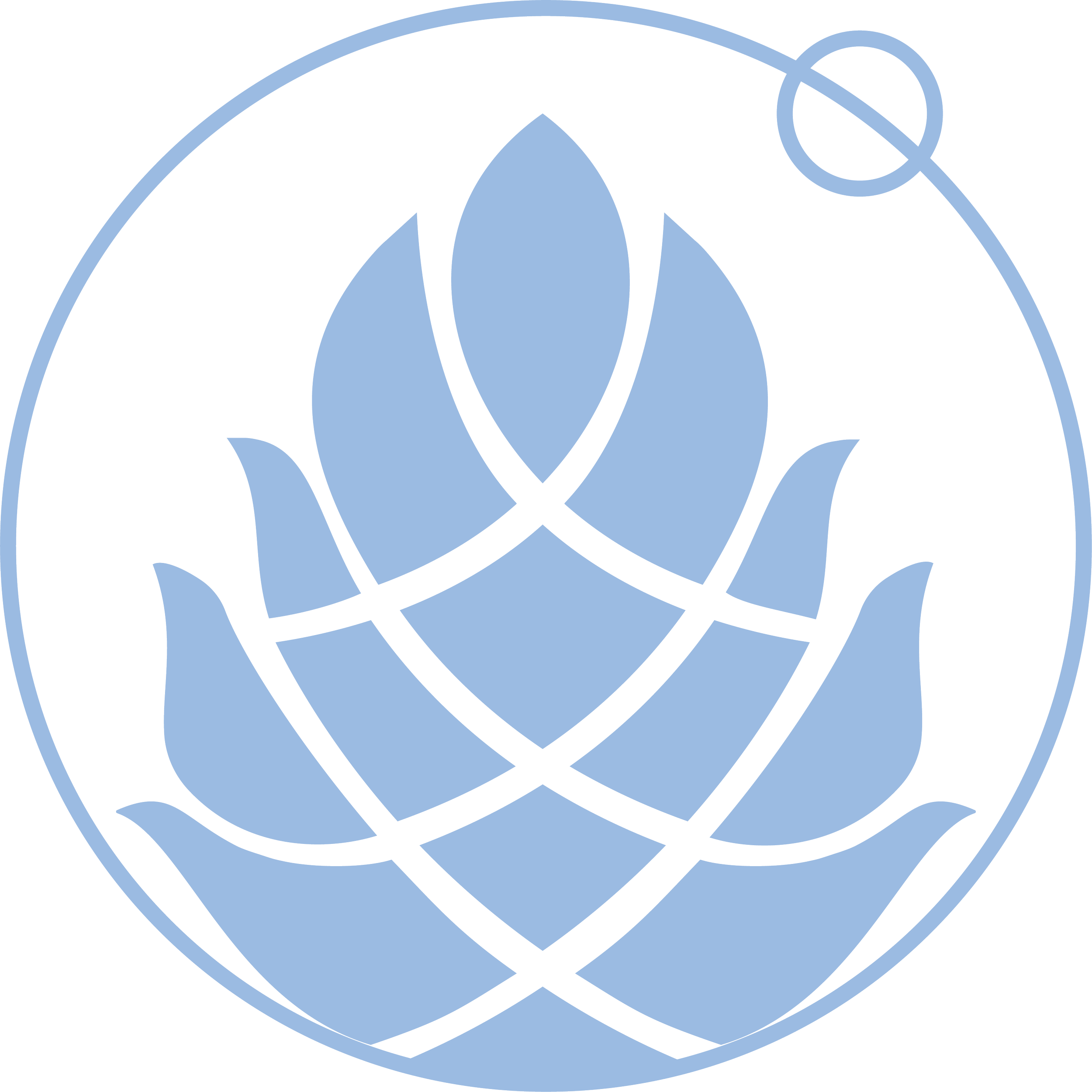 Jupiter Pines Counseling logo, featuring a globe encompassing an abstract pinecone symbol and a smaller circle traveling the orbit of the encompassing globe.