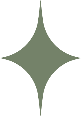 A stylized, four-pointed star shape in gray