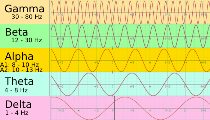 A scientific chart displaying waveforms of brain waves: Gamma (30-80 Hz), Beta (12-30 Hz), Alpha (8-13 Hz), Theta (4-8 Hz), and Delta (1-4 Hz), each with different color backgrounds and frequency ranges.
