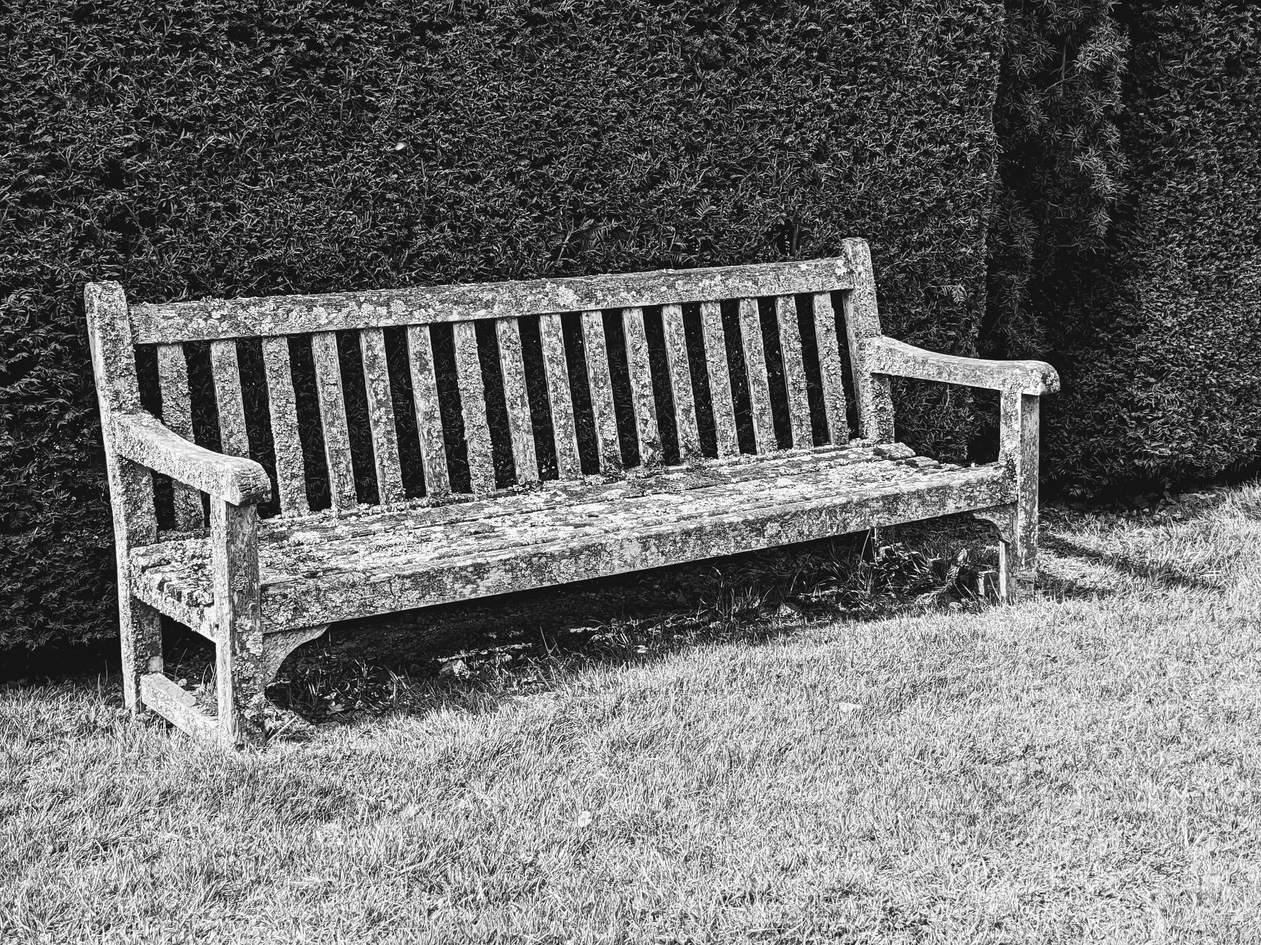 GARDEN: Hedge Cutting | Grass Cutting | Maintenance | Projects