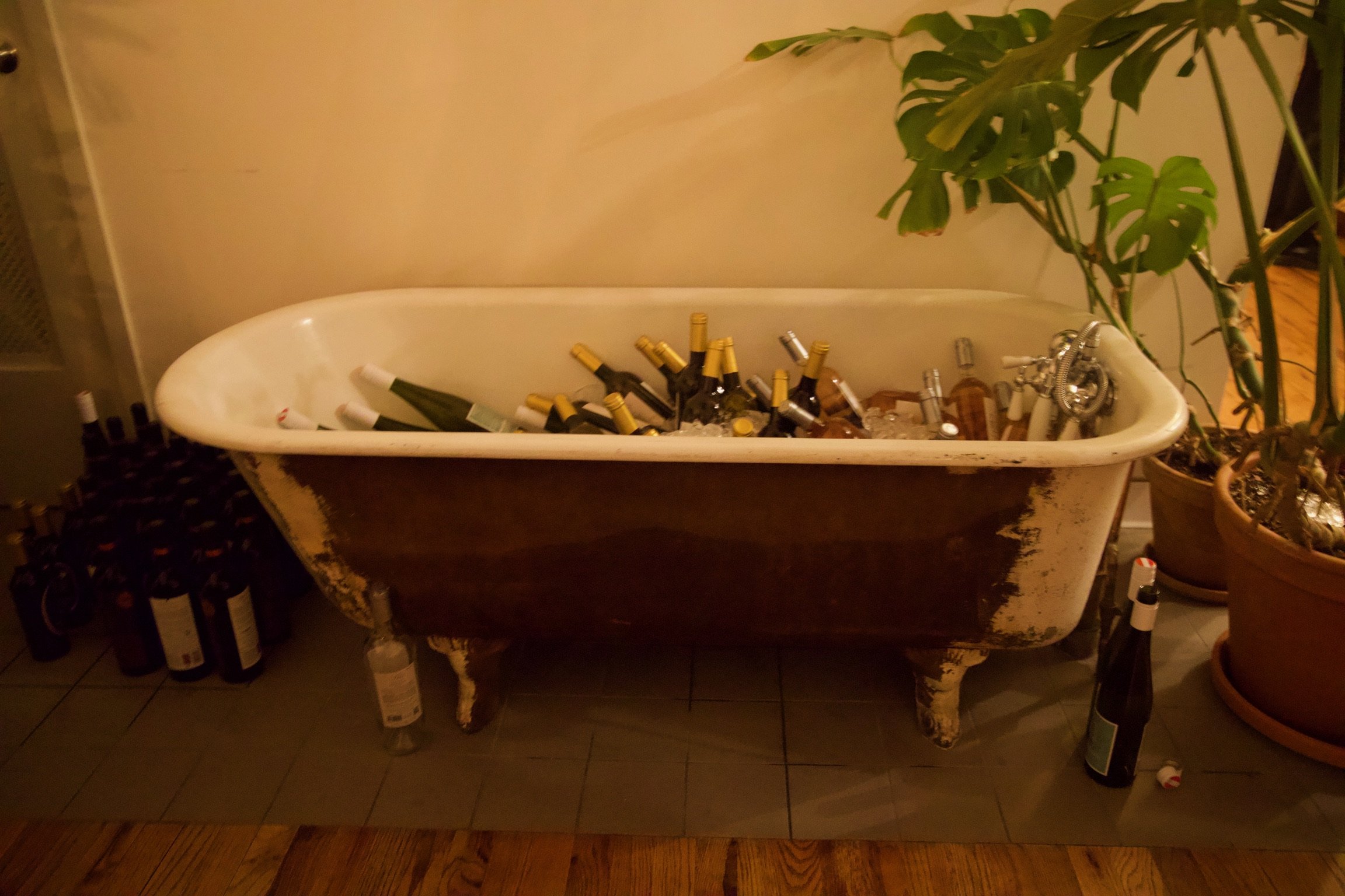 Copy of 7CED6D73-9CC7-4FCB-B263-588A42978B88.jpeg