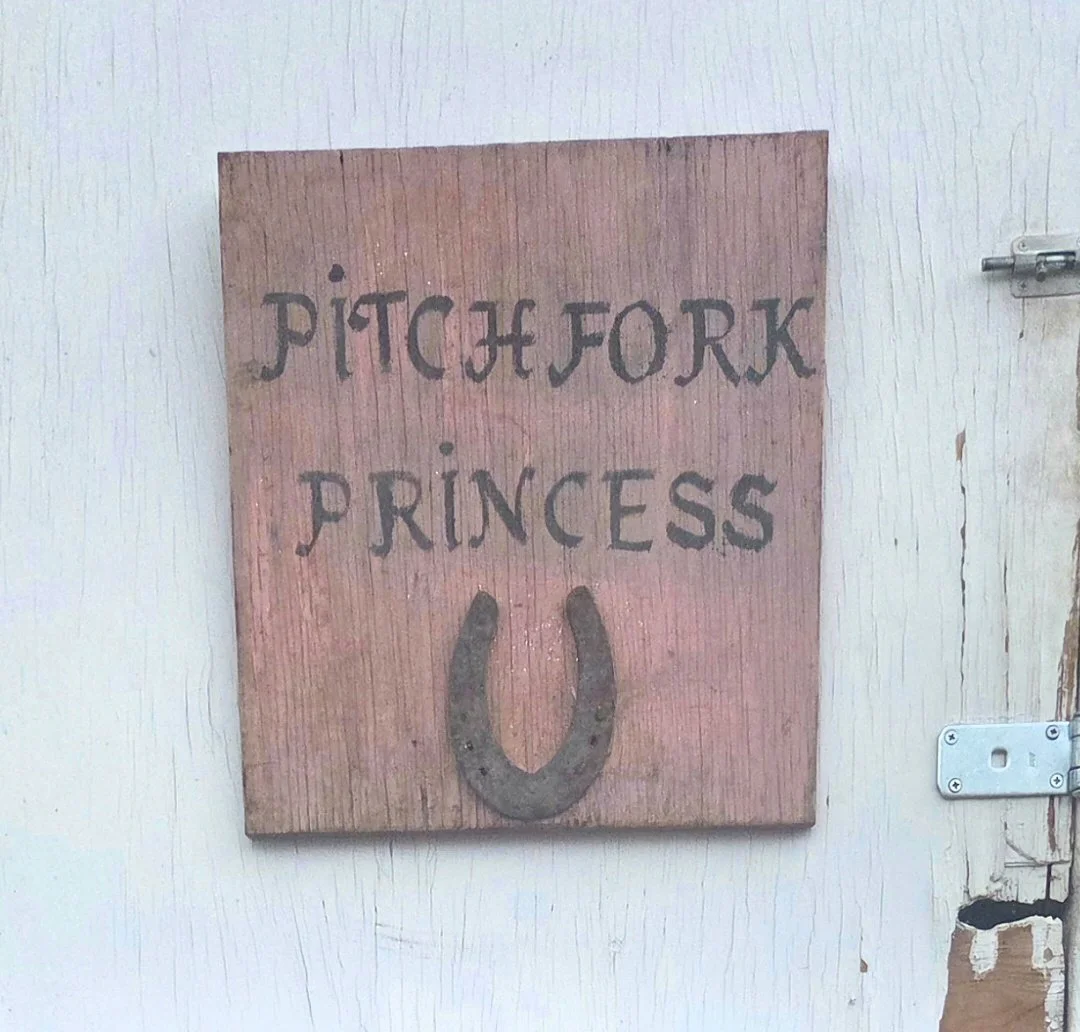 the pitchfork princess:  Confetti, Manure, and the Art of the Second Chance