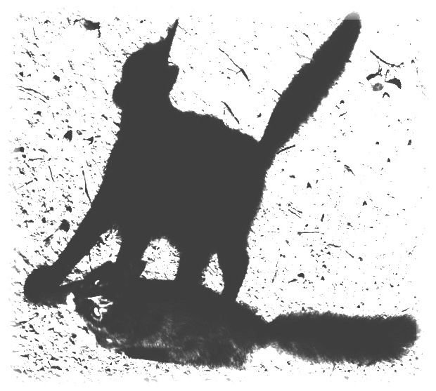 La crise du capitalisme 3/3