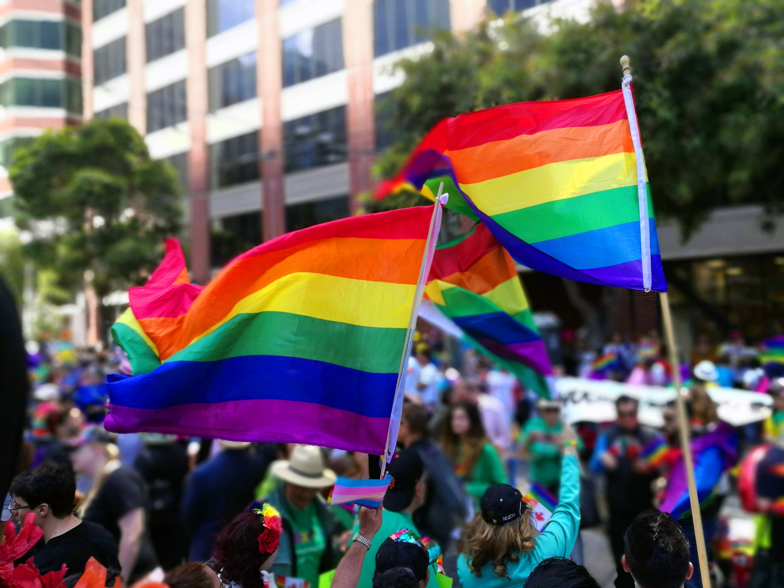 Crowd of people at a pride parade waving rainbow flags with a modern building and green trees in the background.