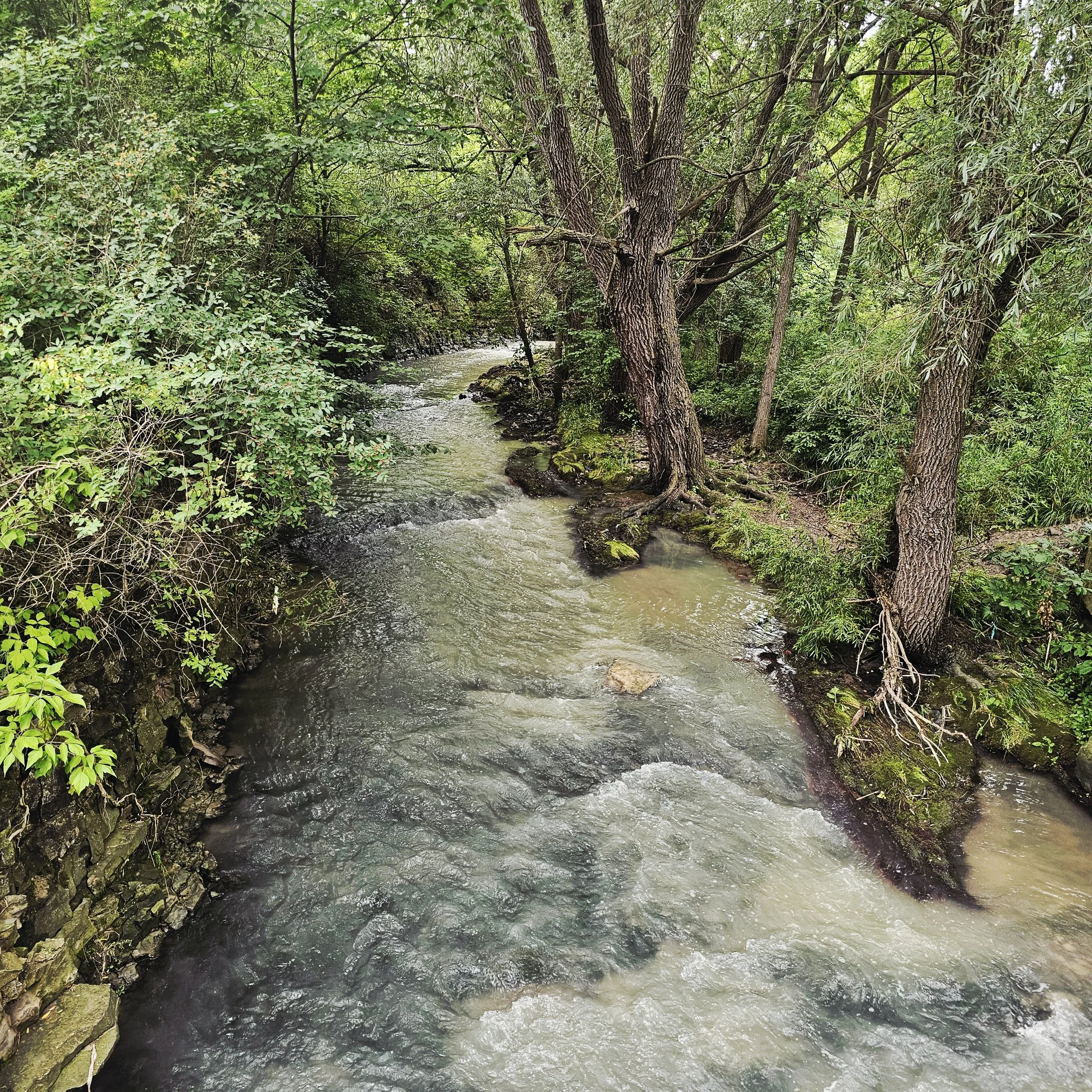 Escarpment Rail Trail, Hamilton, ON July 2026