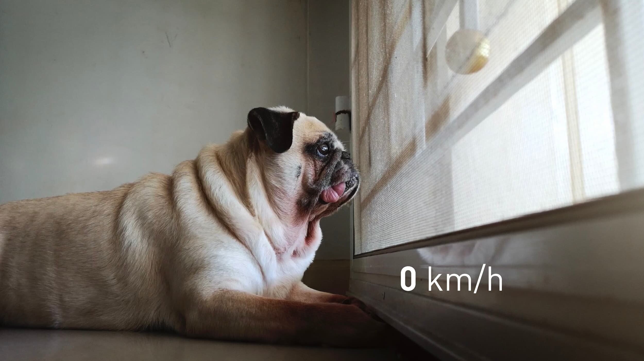 Vitesse de confinement 6 copiedvs (1).jpg