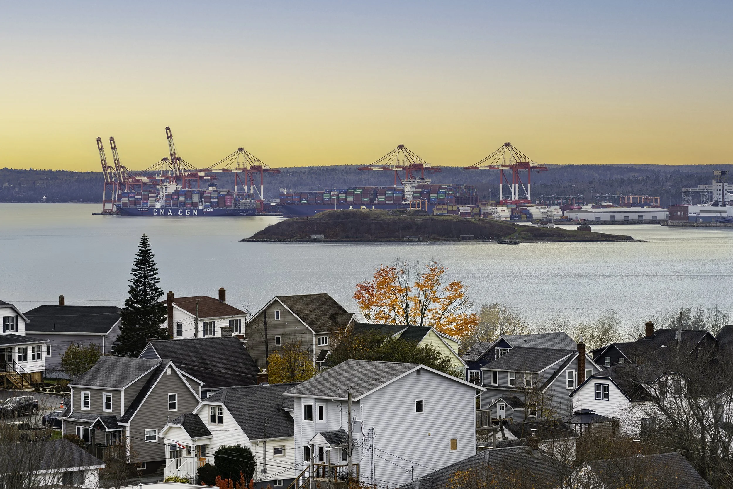 DSC00529-Edit copy.jpg