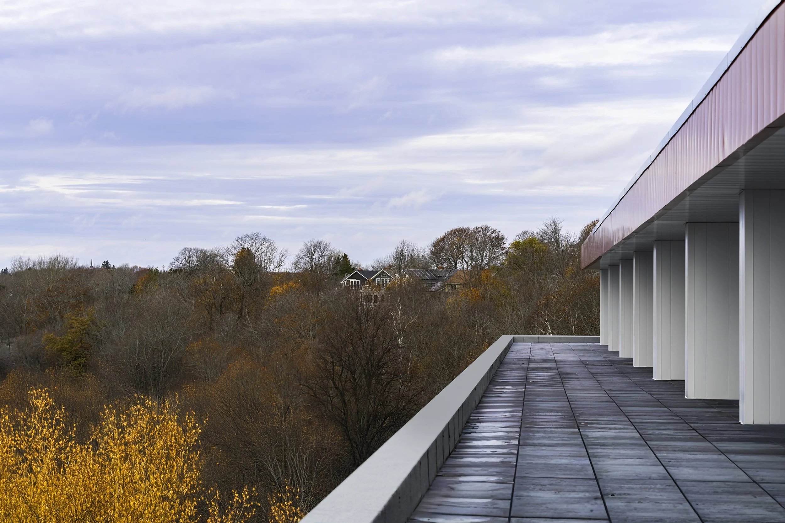 DSC00542-Edit copy.jpg