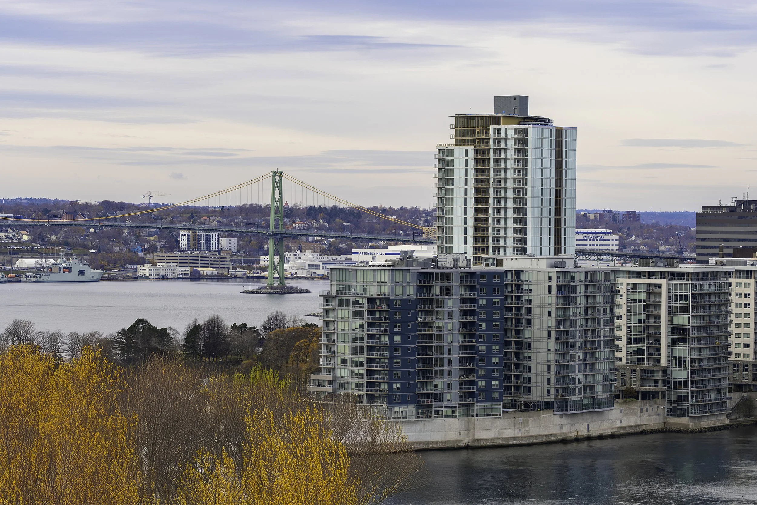 DSC00530-Edit copy.jpg