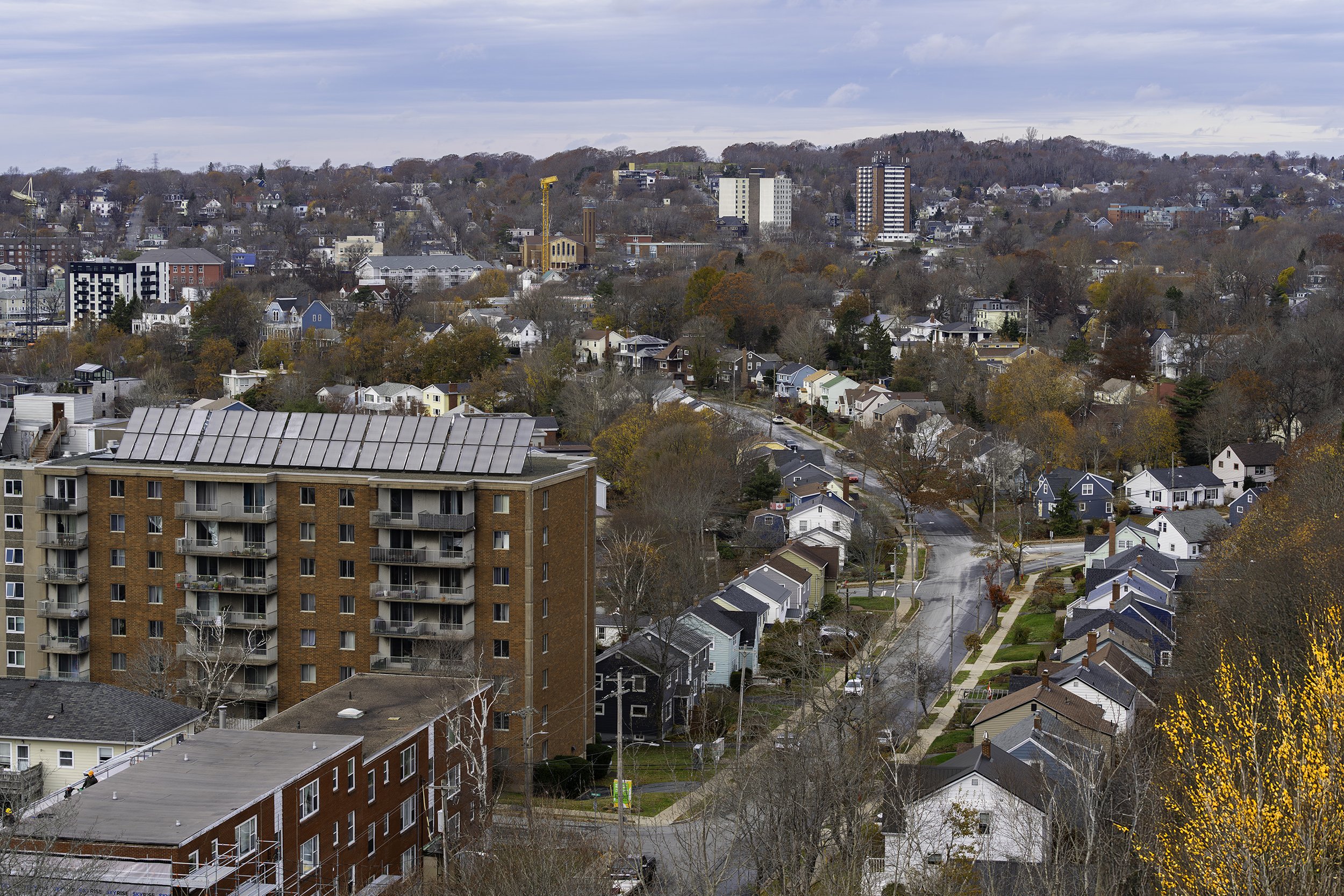 DSC00536-Edit copy.jpg