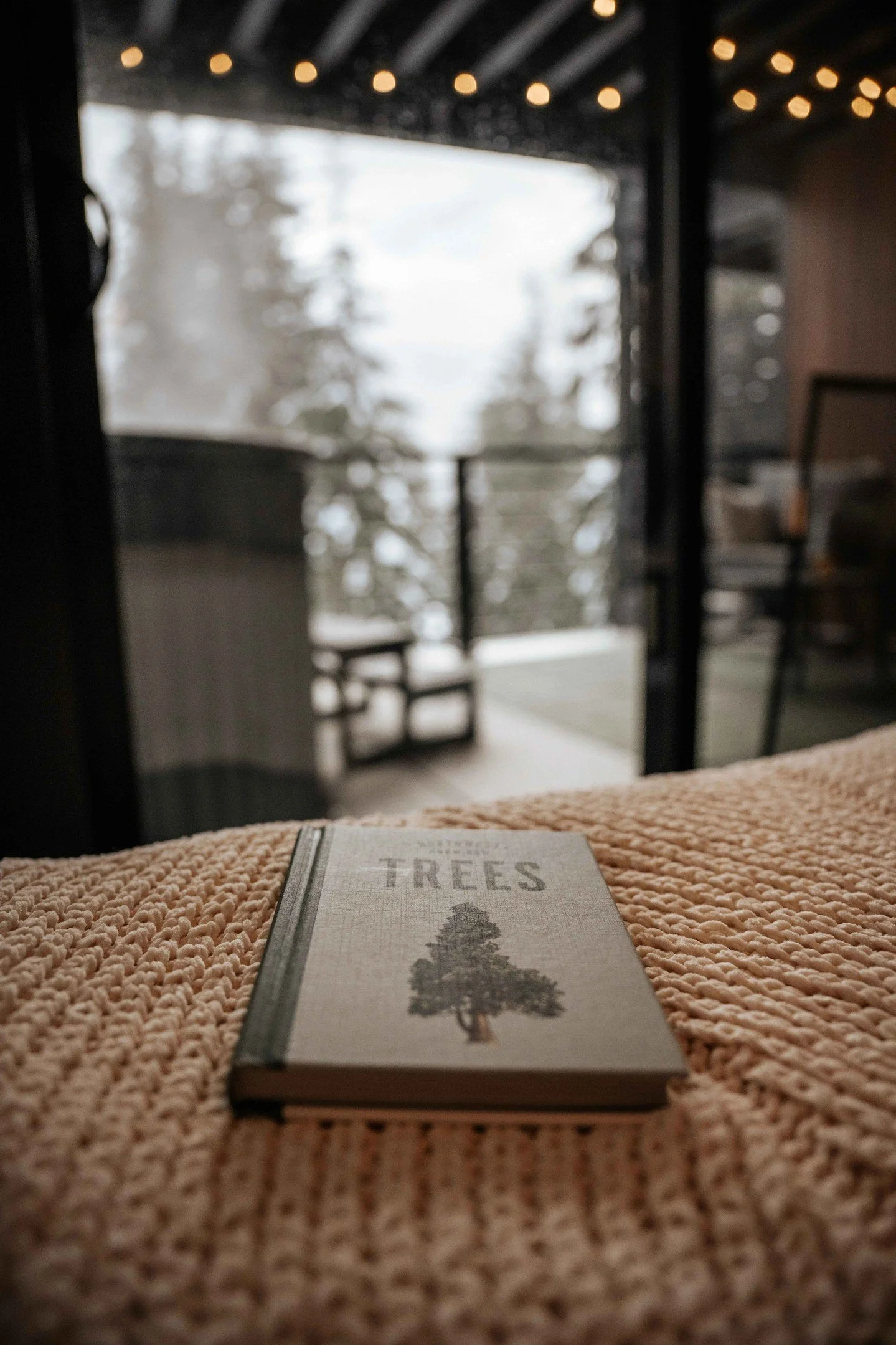 Perched at Hyak, these moody views are the ultimate reset. Perfect for a ski trip or the 2026 FIFA World Cup. Cozy up and stay a while. 🏔️✨

Book now at: airbnb.com/rooms/1563304593380698710 #Hyak