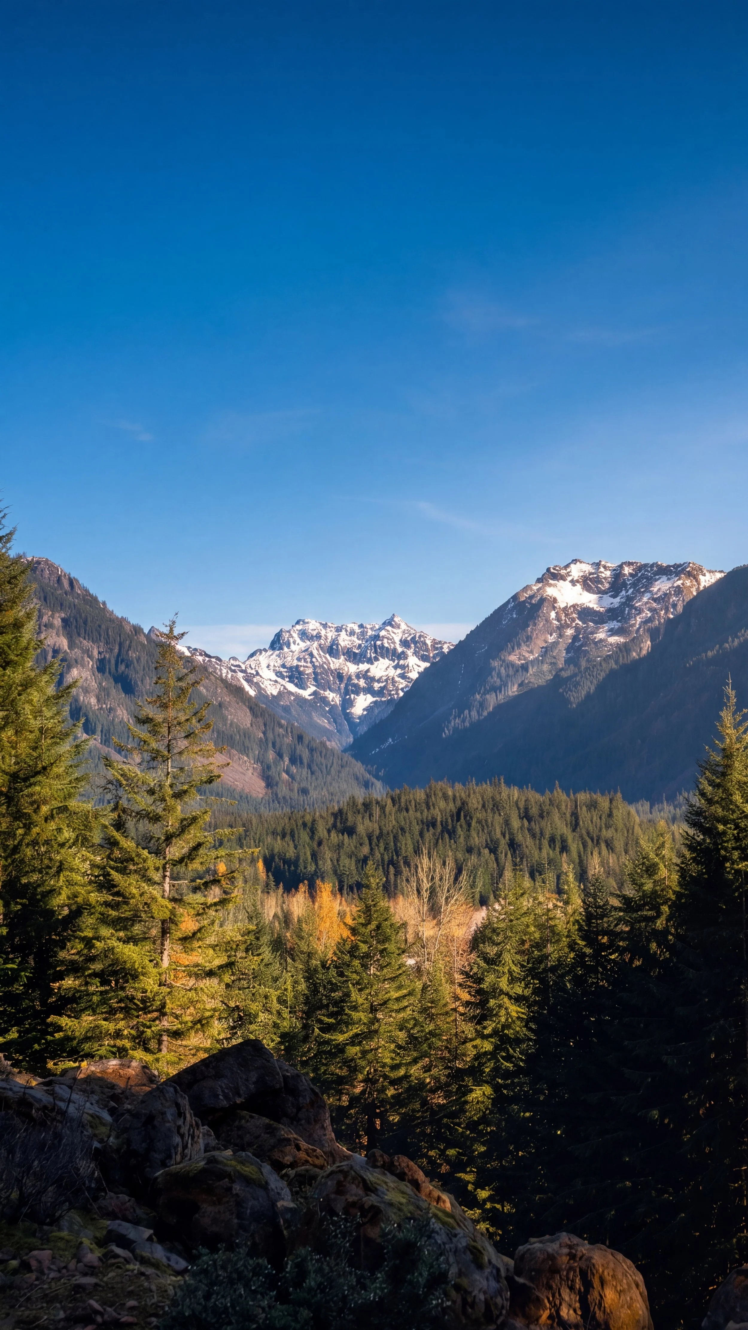 A scenic view of snow-capped mountains behind a dense forest of green trees under a clear blue sky.