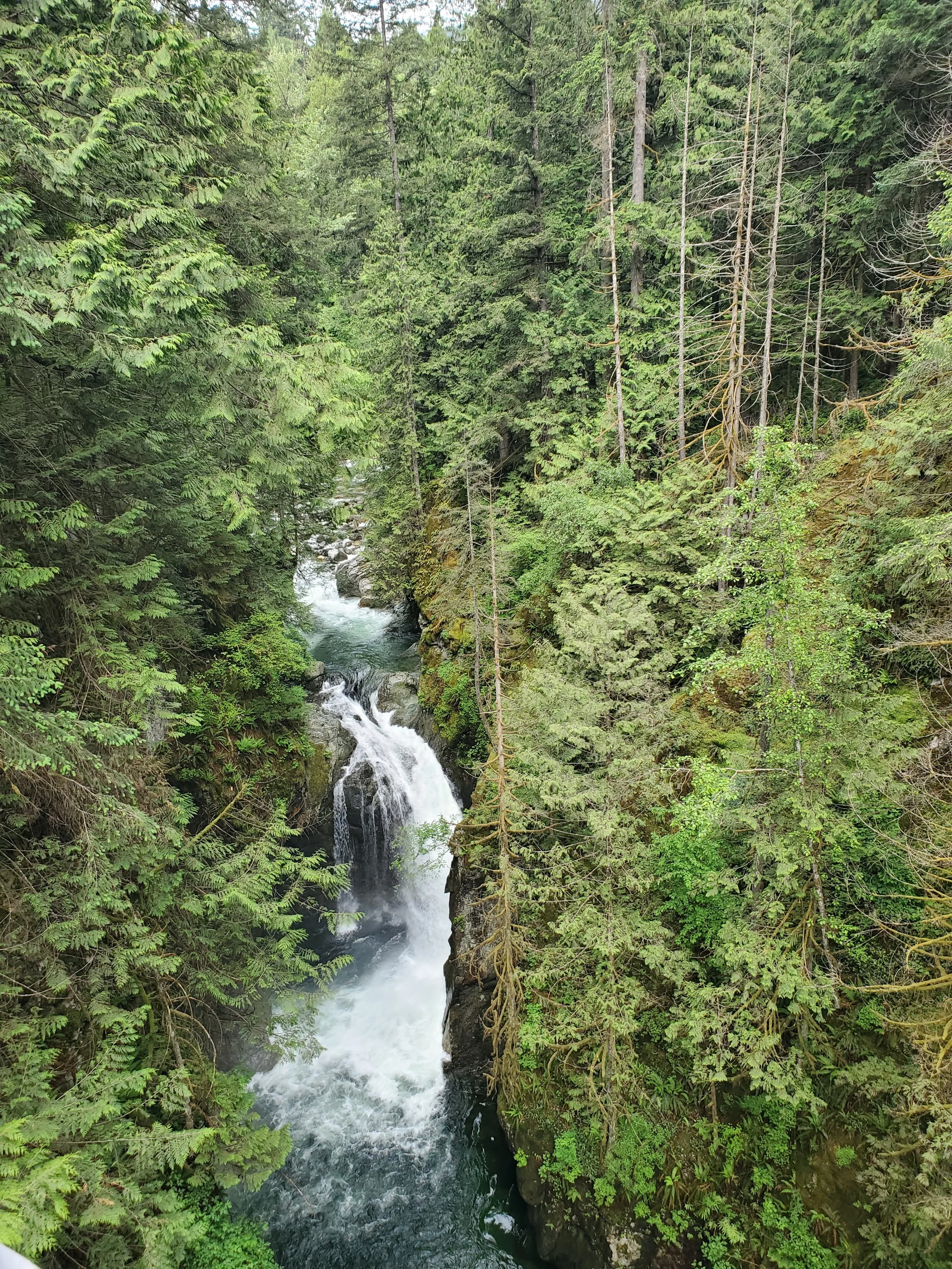20250530_103028.jpg