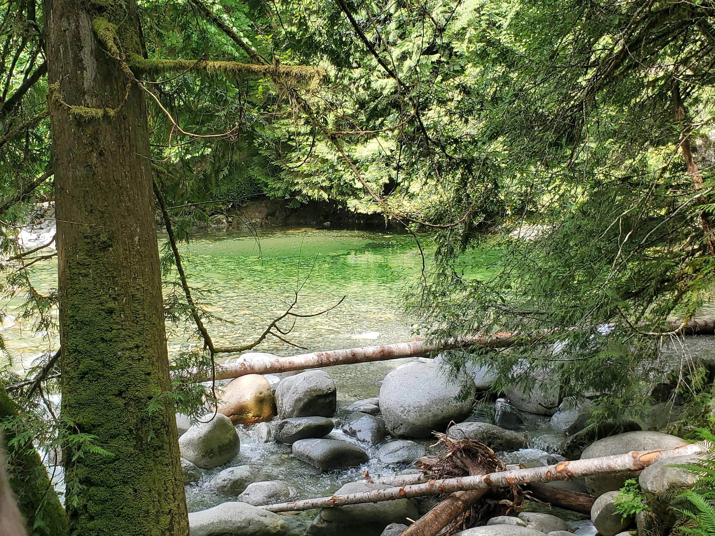 20250530_113250.jpg