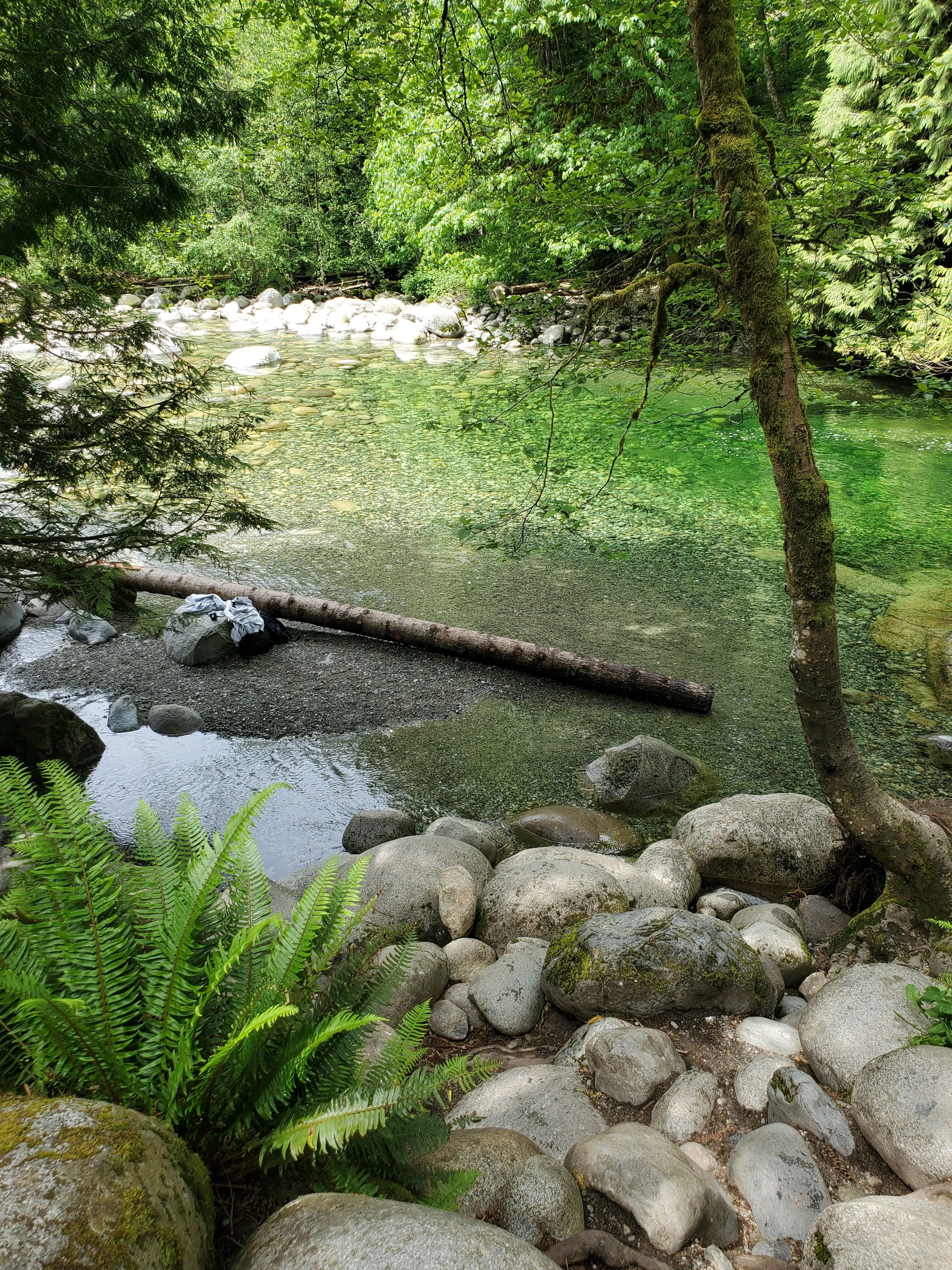 20250530_113401.jpg