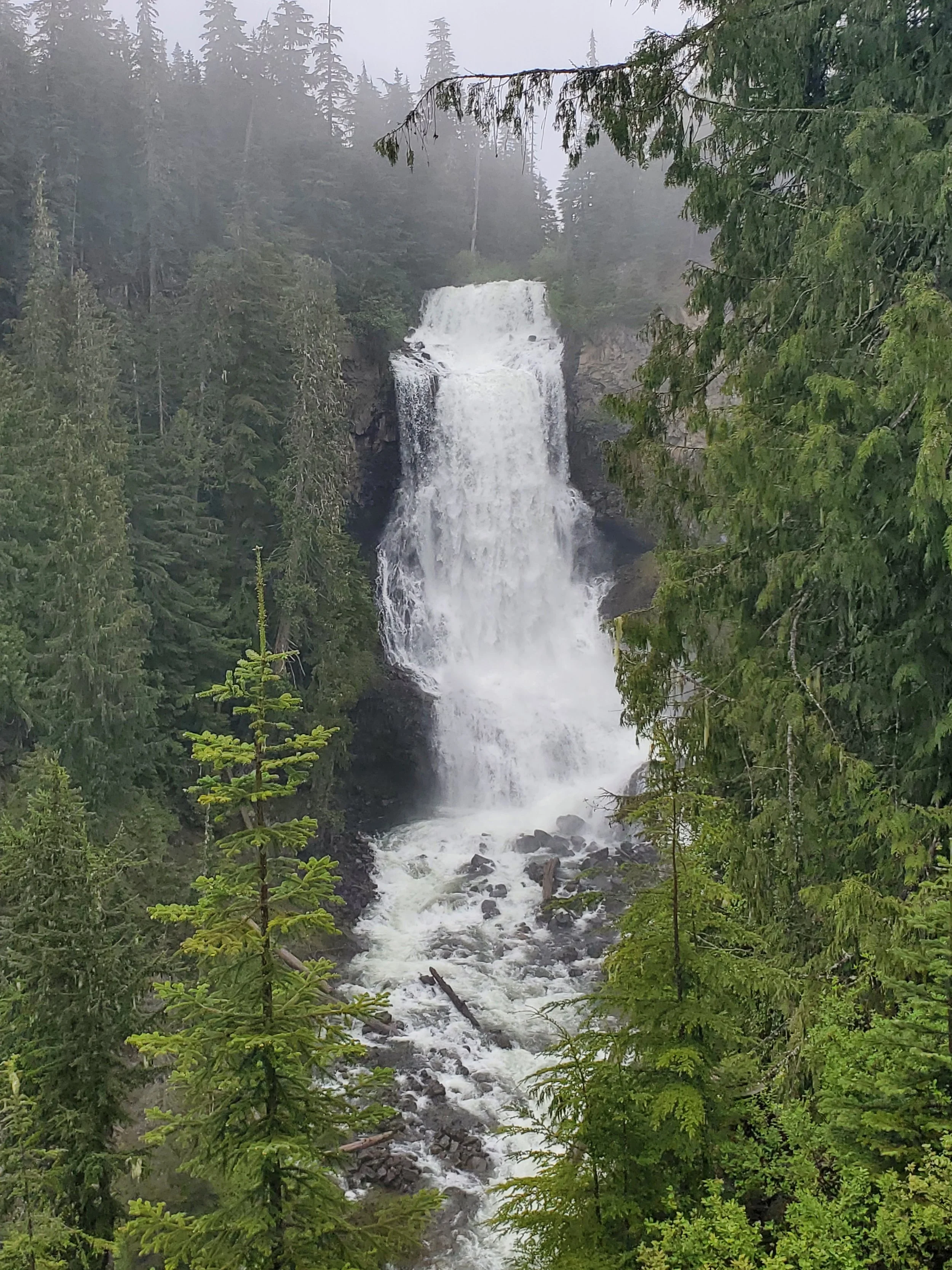 20250531_134321.jpg